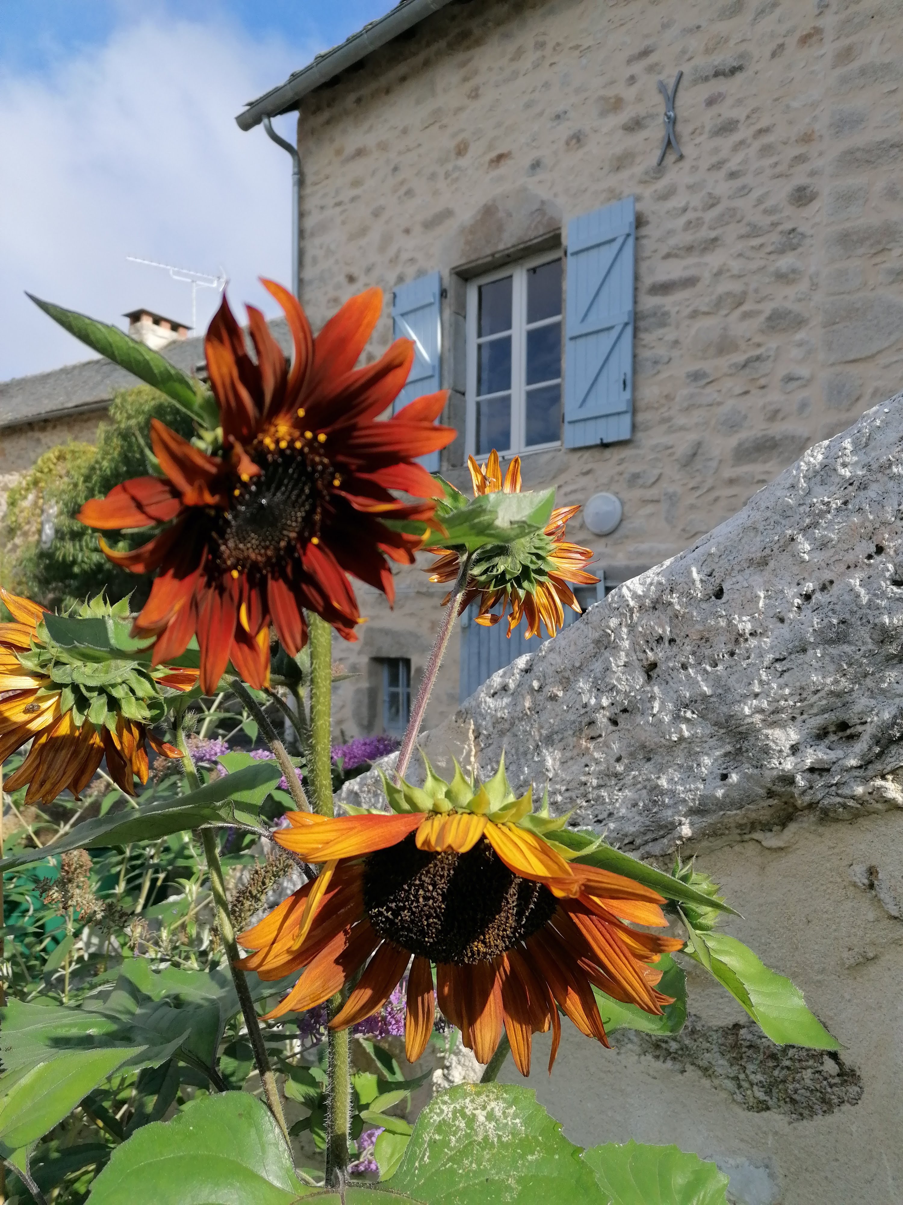 Maison nature à le bas segala