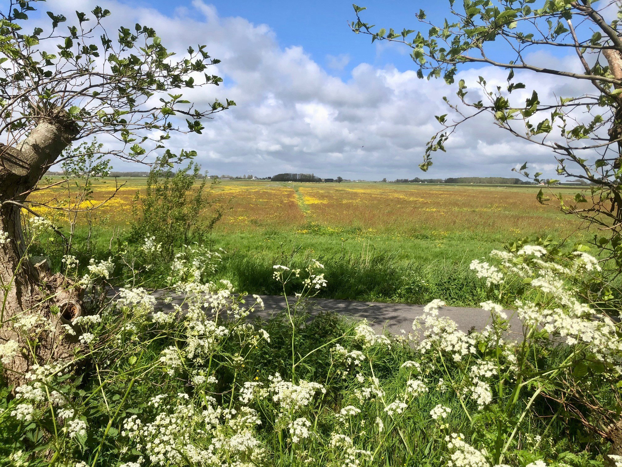 Natuurhuisje in Groet