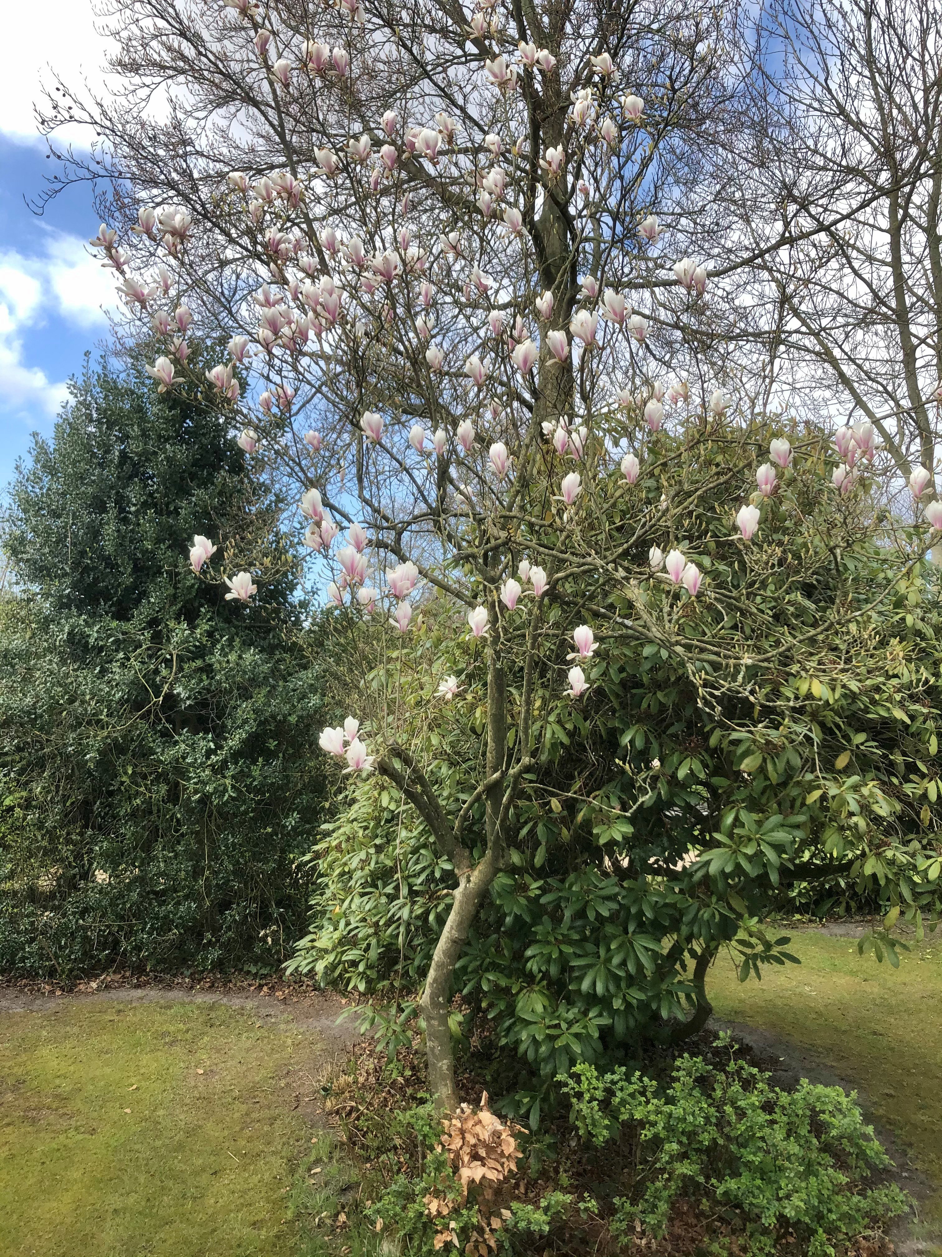 Naturhäuschen in Groet
