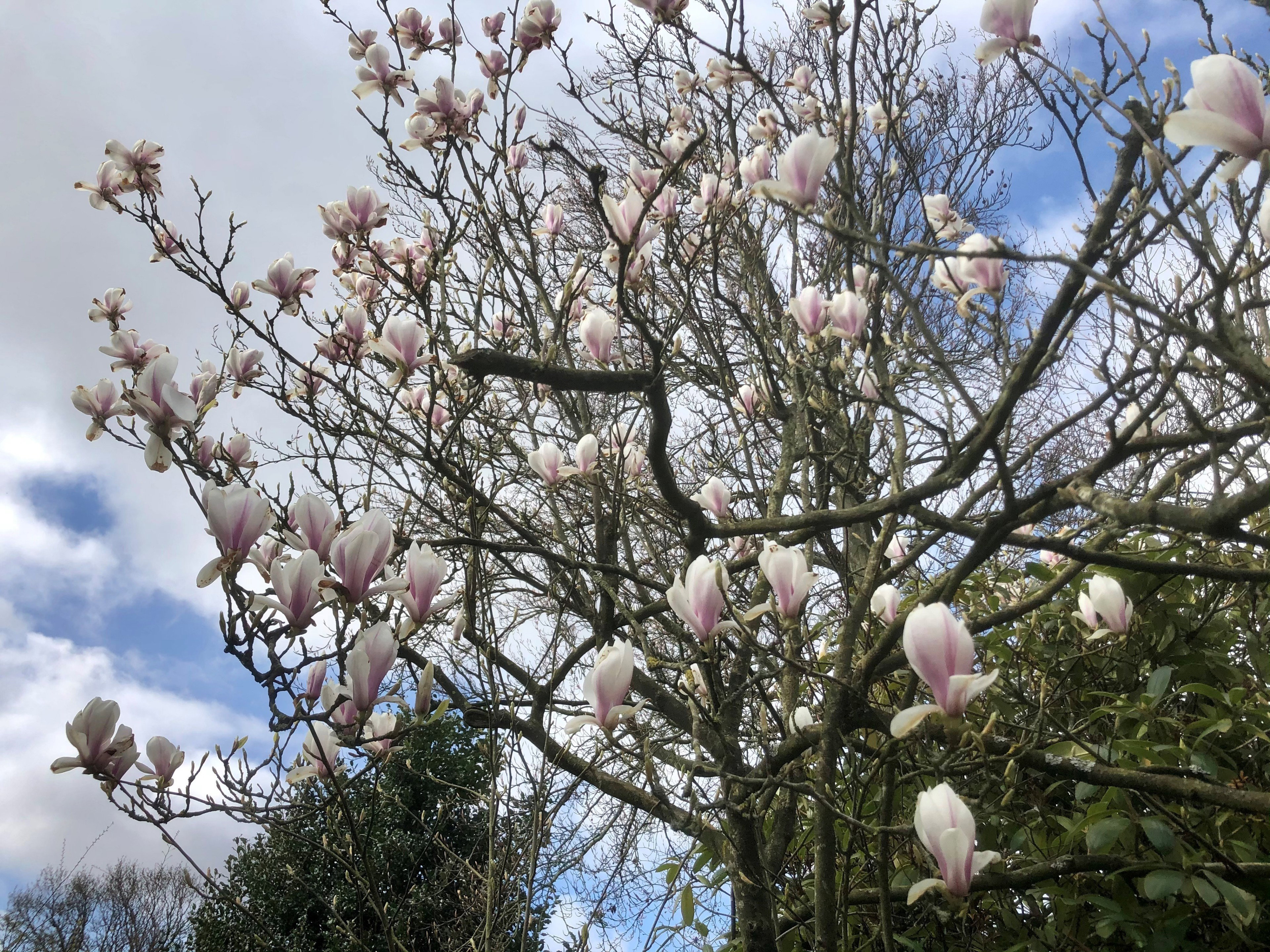 Naturhäuschen in Groet