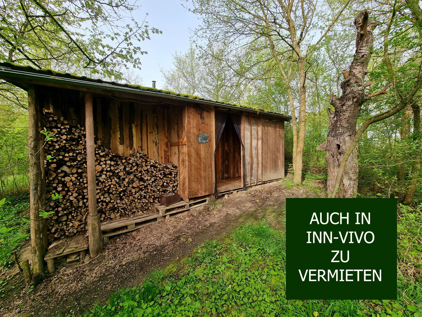 - image: 18