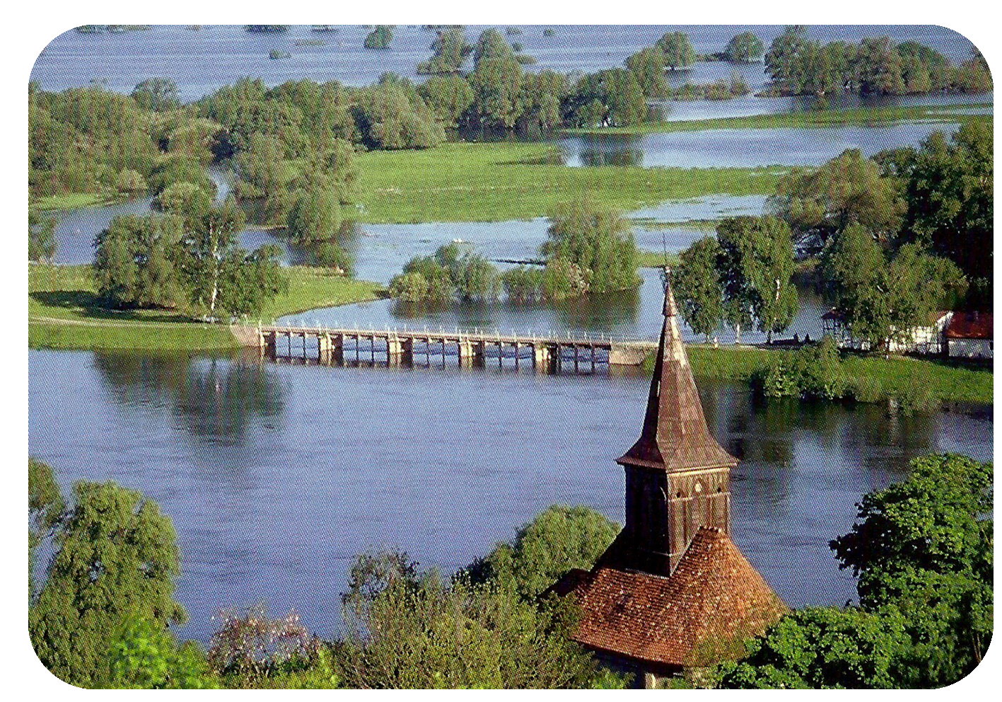 - image: 15