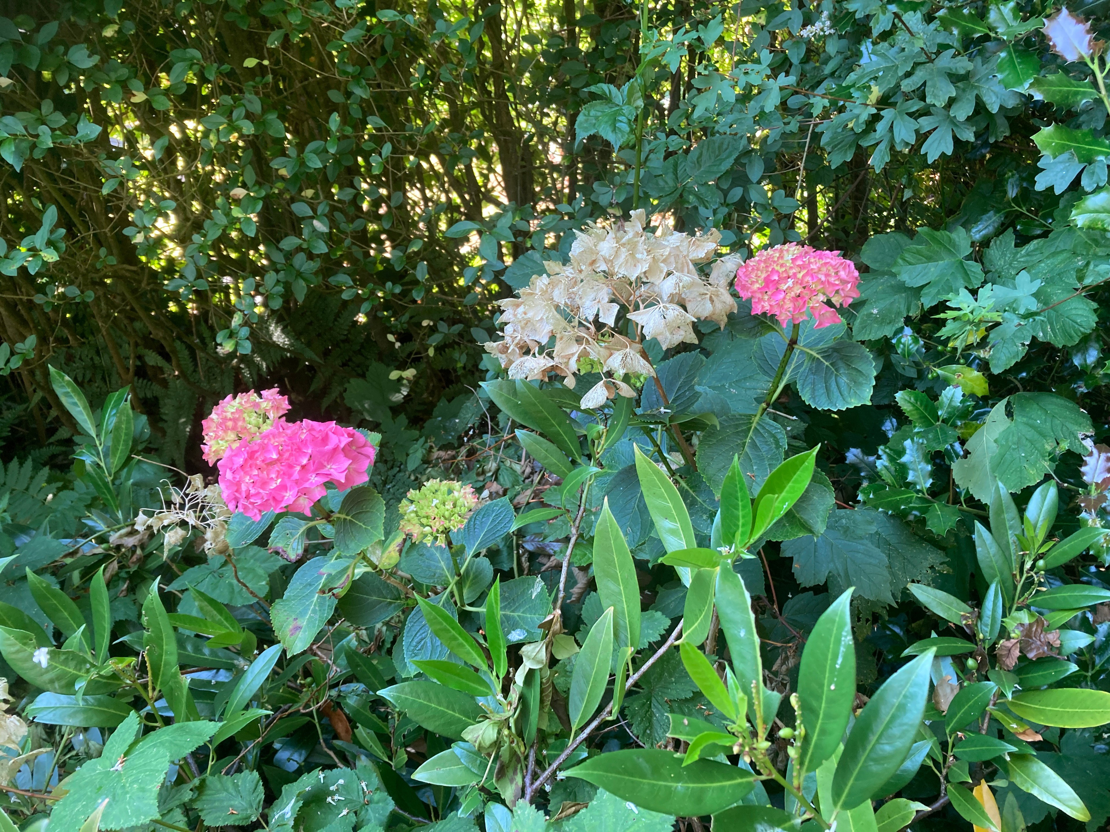 Natuurhuisje in Groet