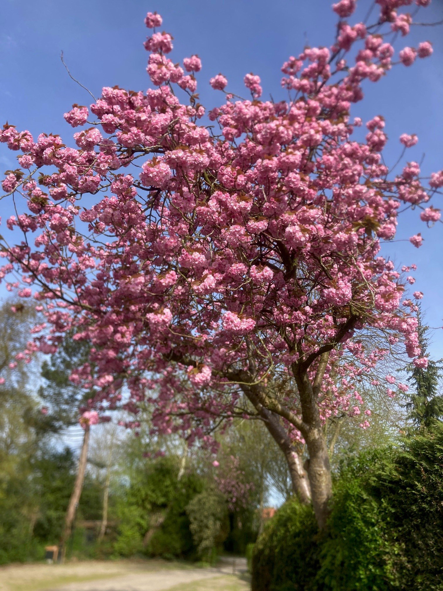 Natuurhuisje in Groet