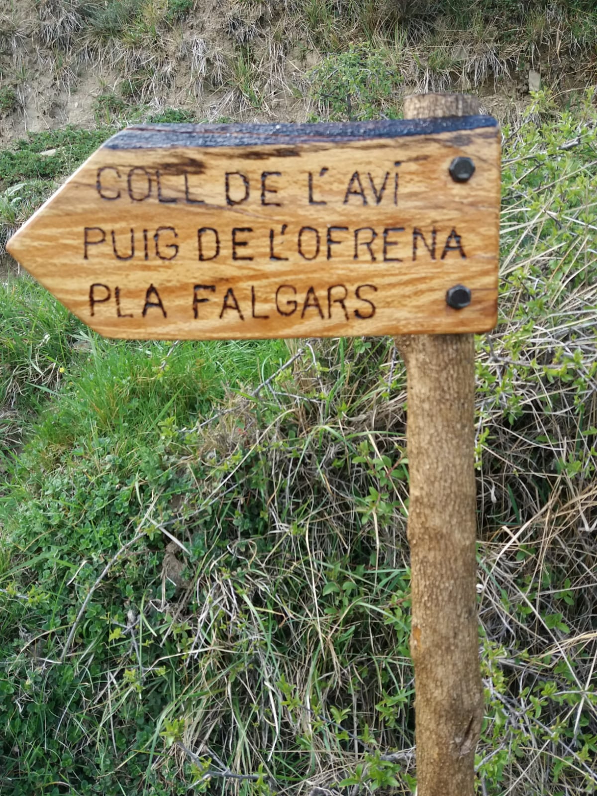 - image: 48