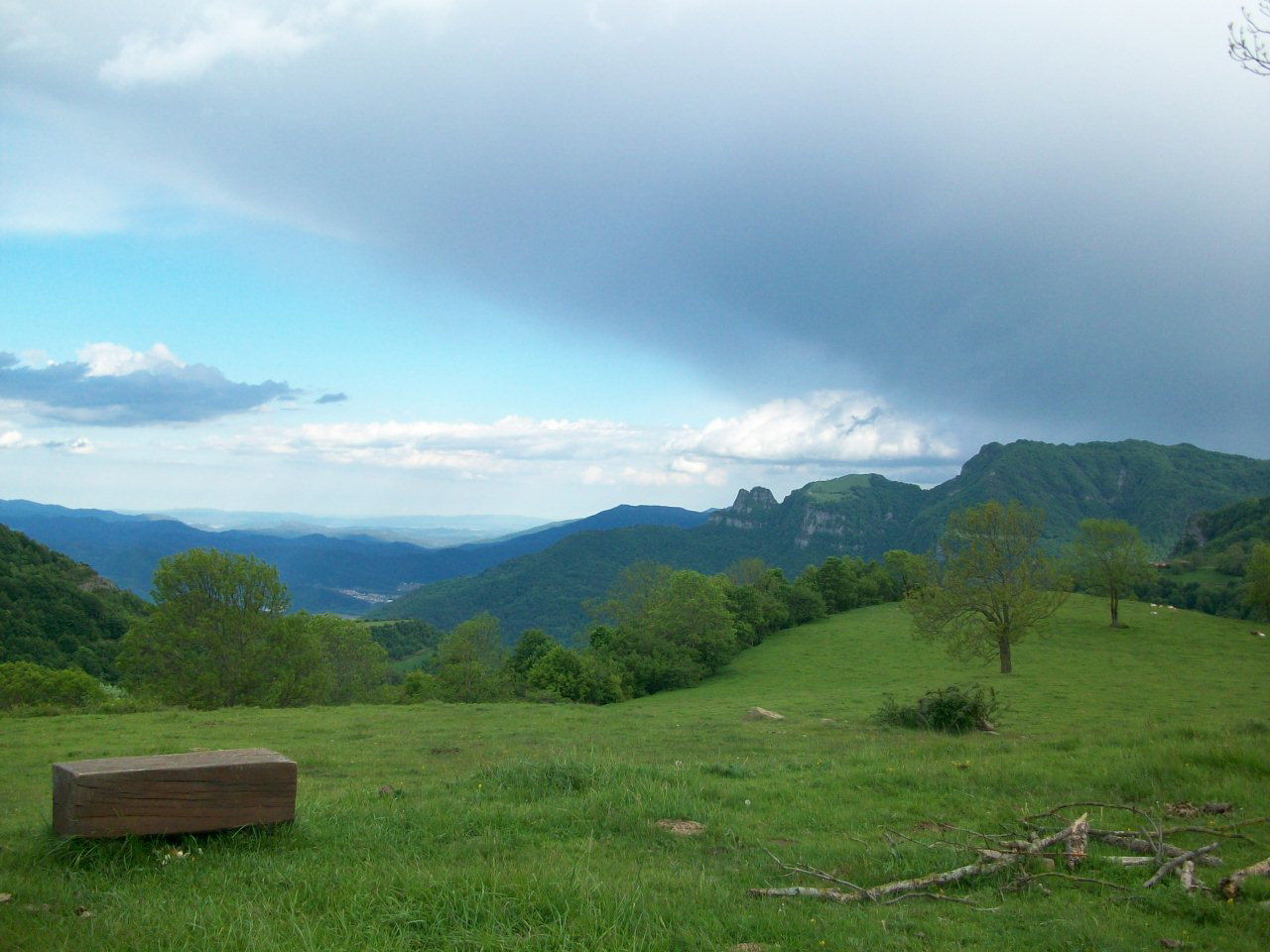 - image: 4