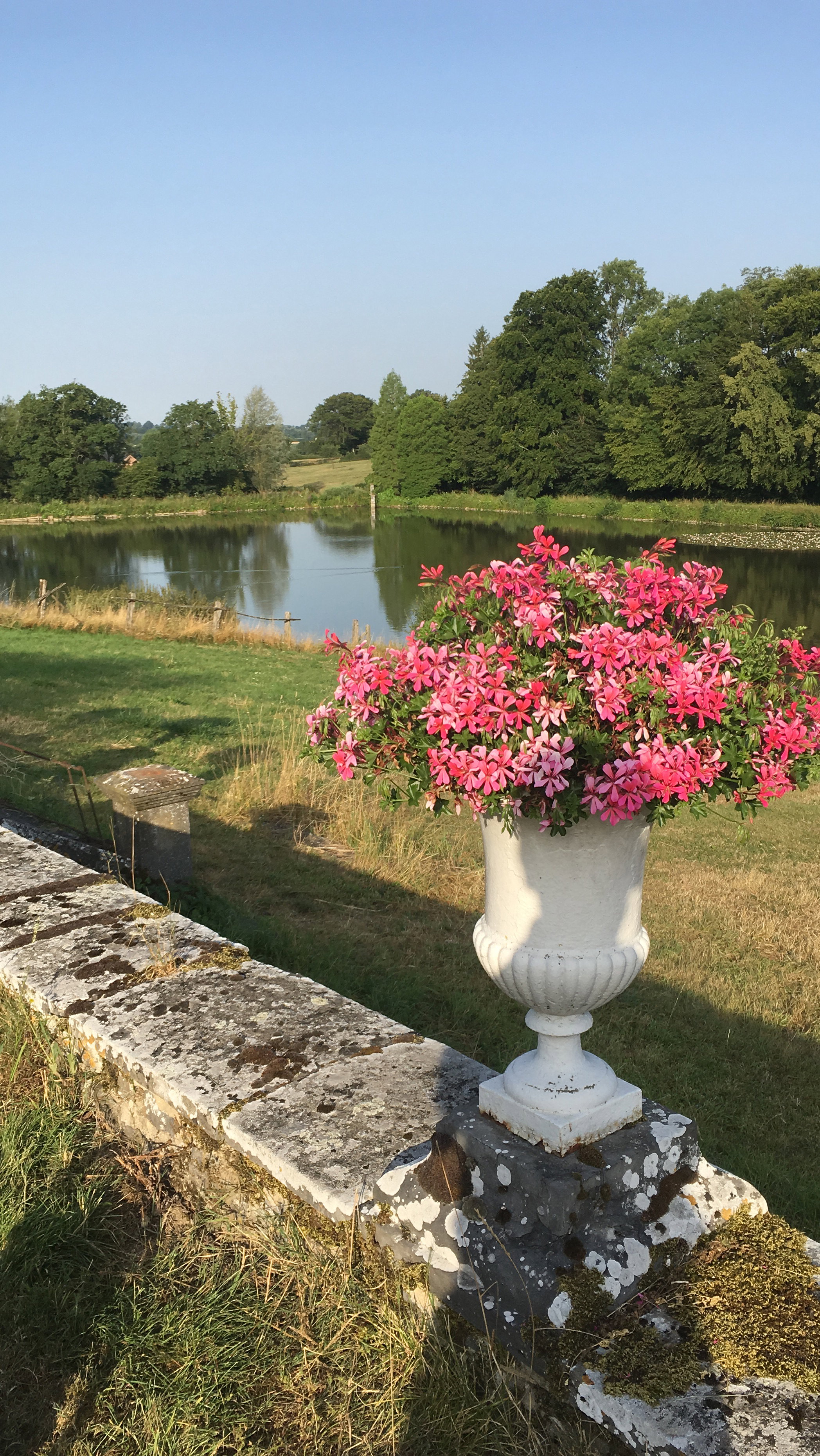 Natuurhuisje in DOMPIERRE SUR HELPE