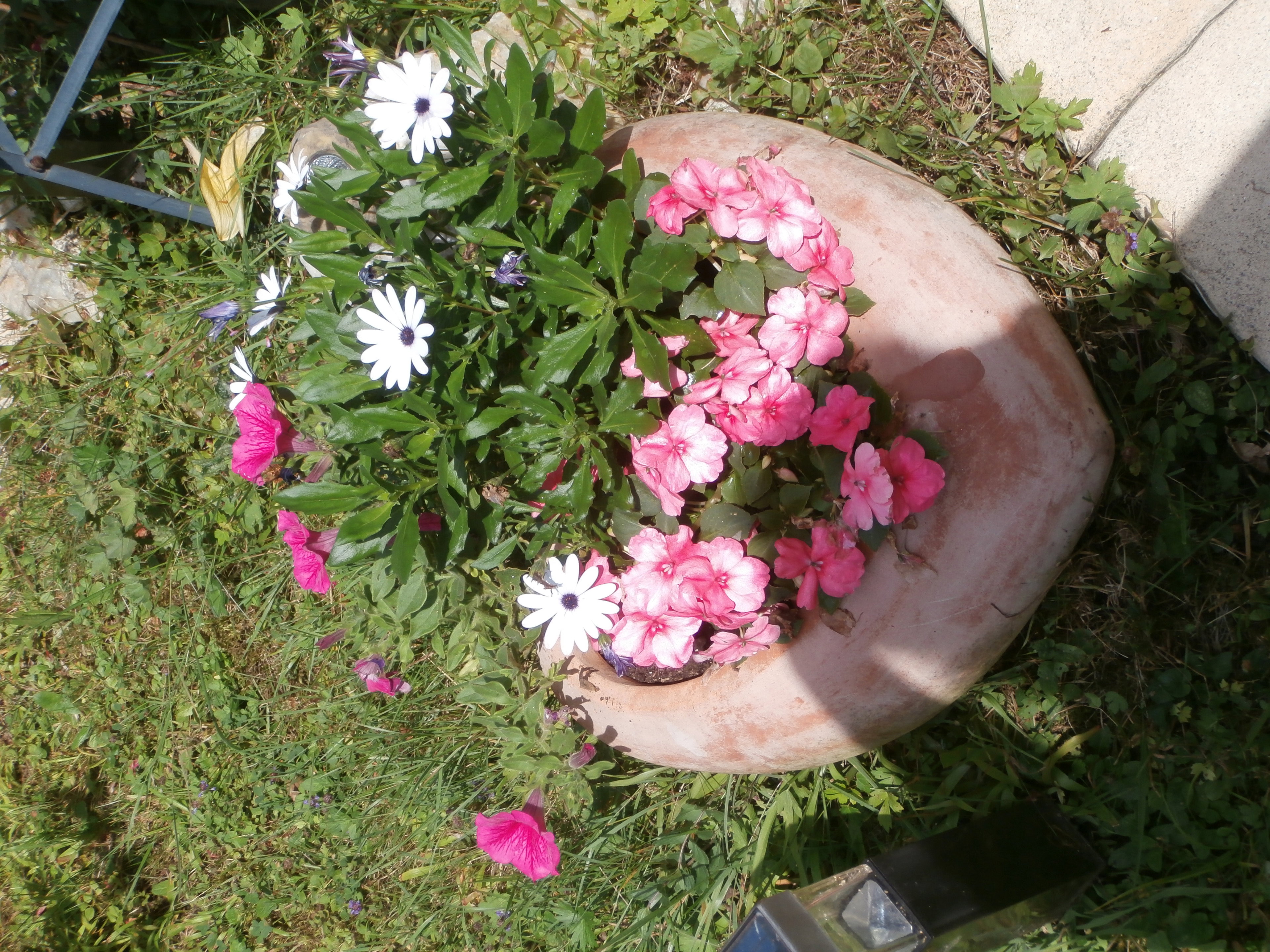 - image: 12