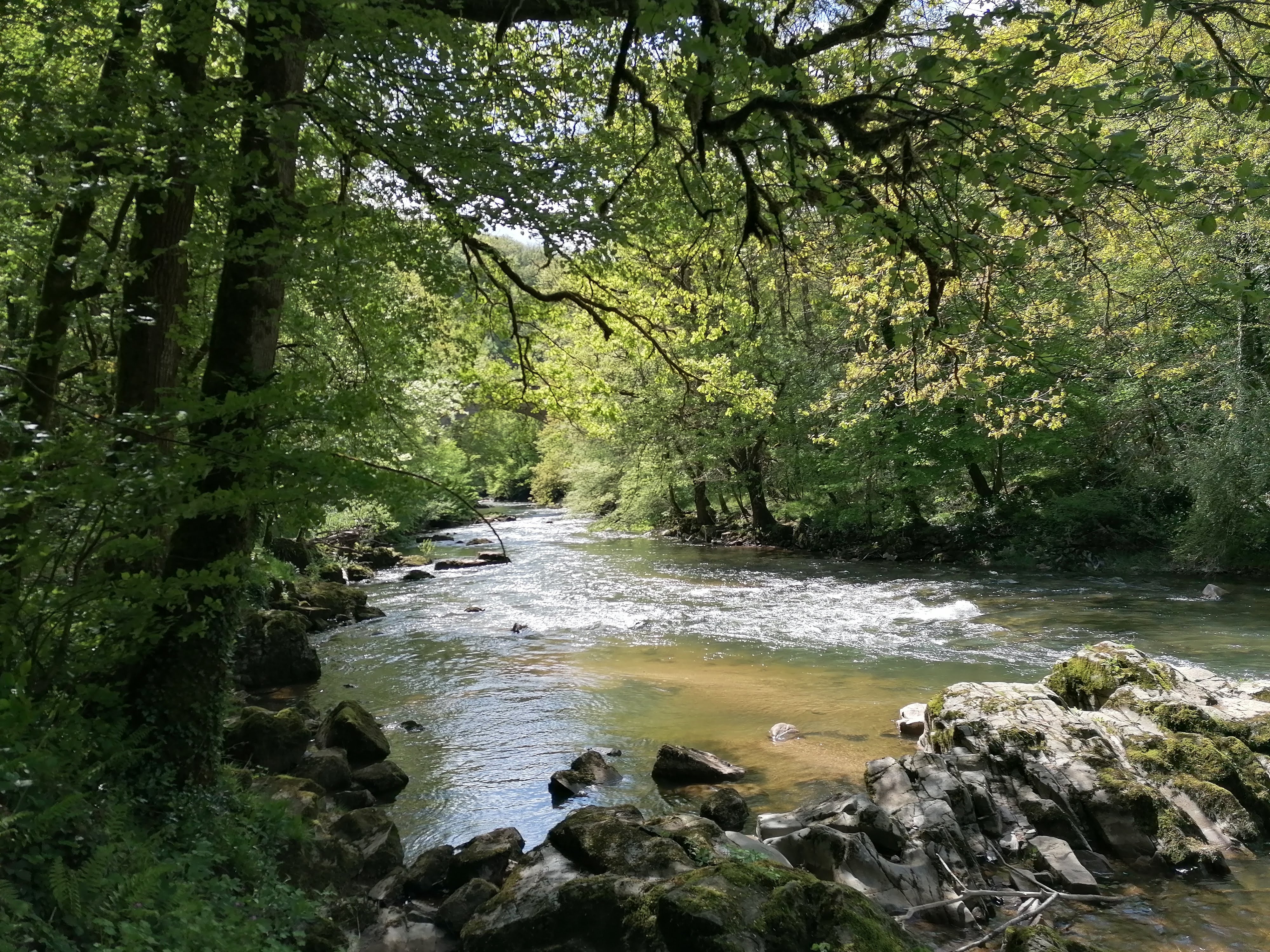 Maison nature à le bas segala