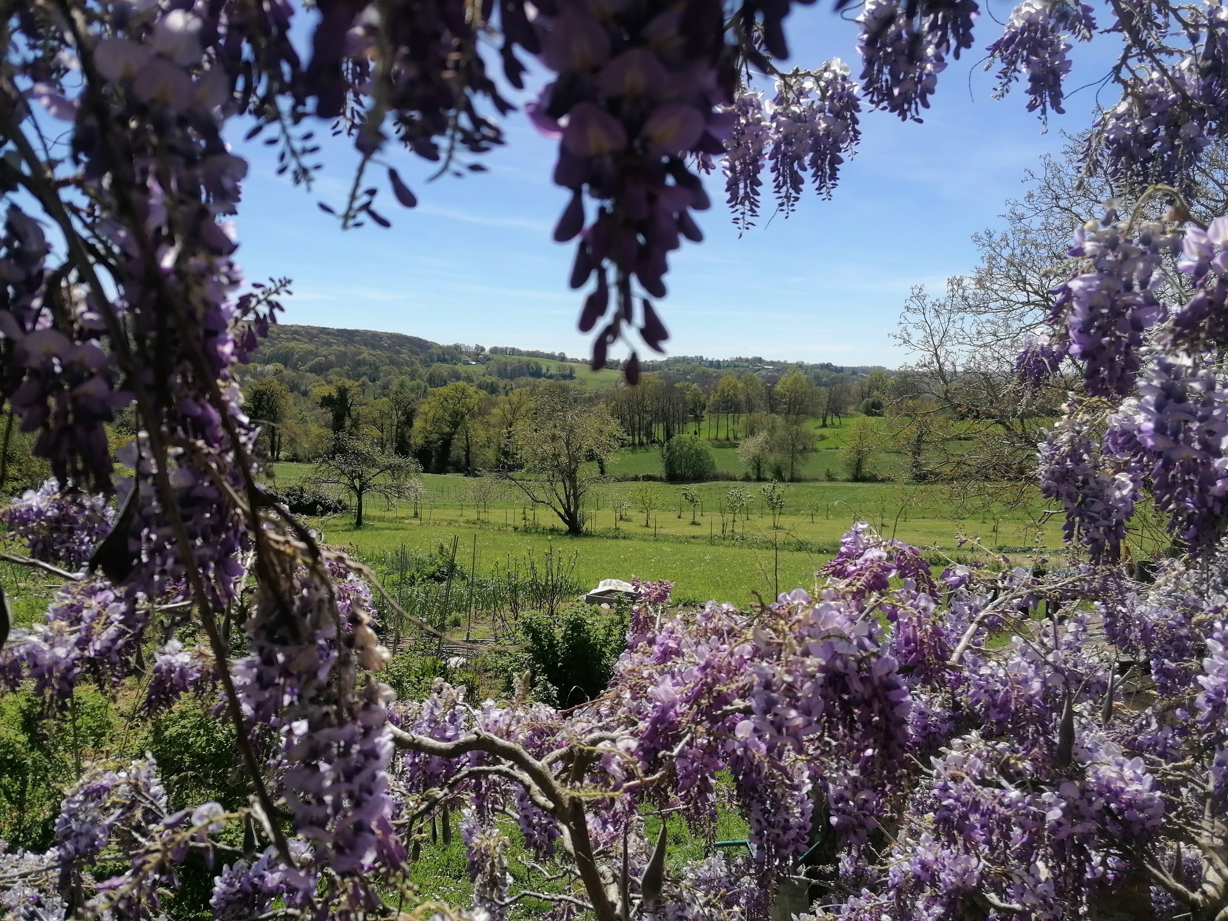 Maison nature à le bas segala