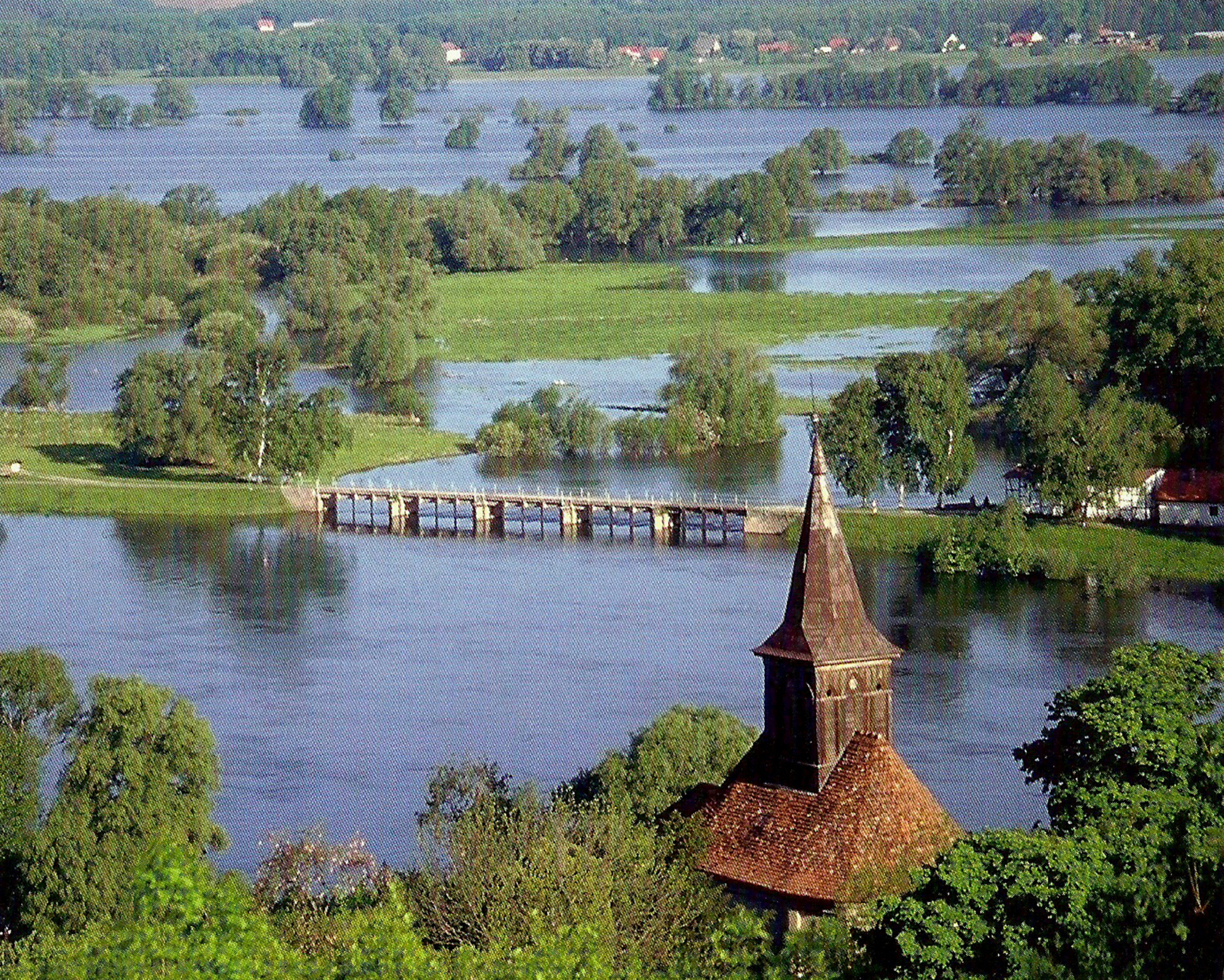 - image: 25