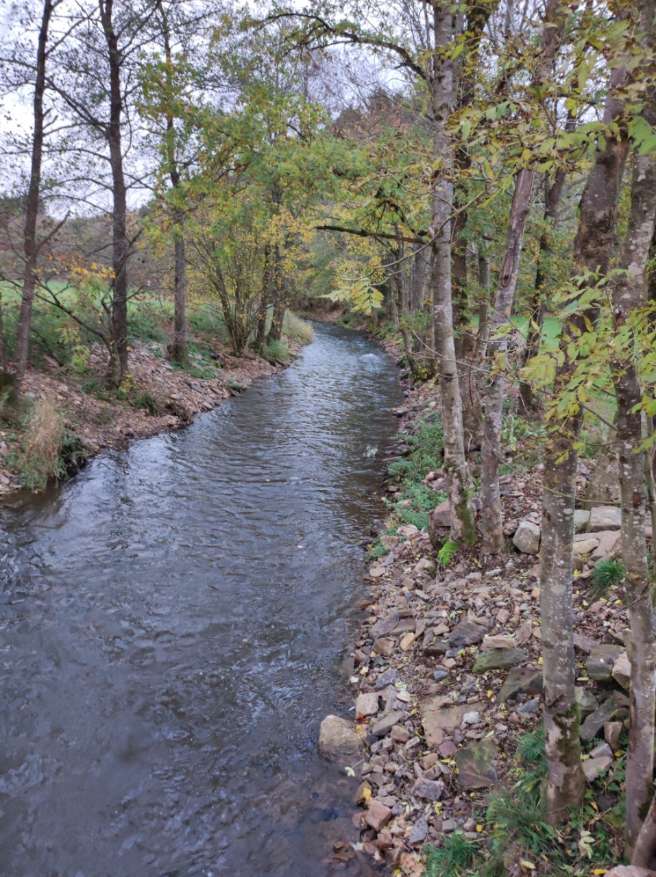 - image: 13