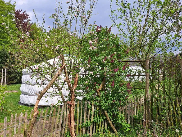 Casa nella natura a Emmen