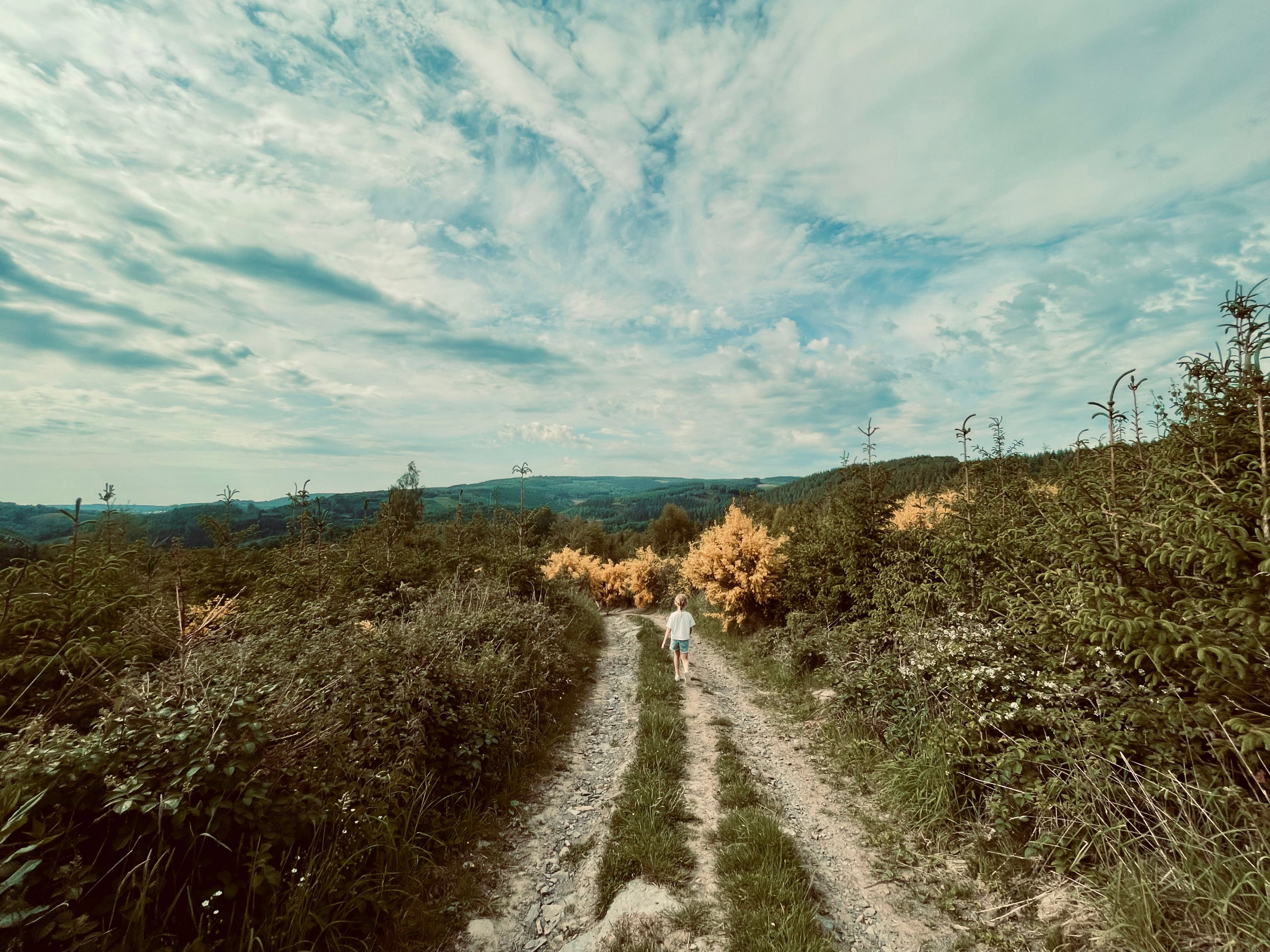 - image: 27