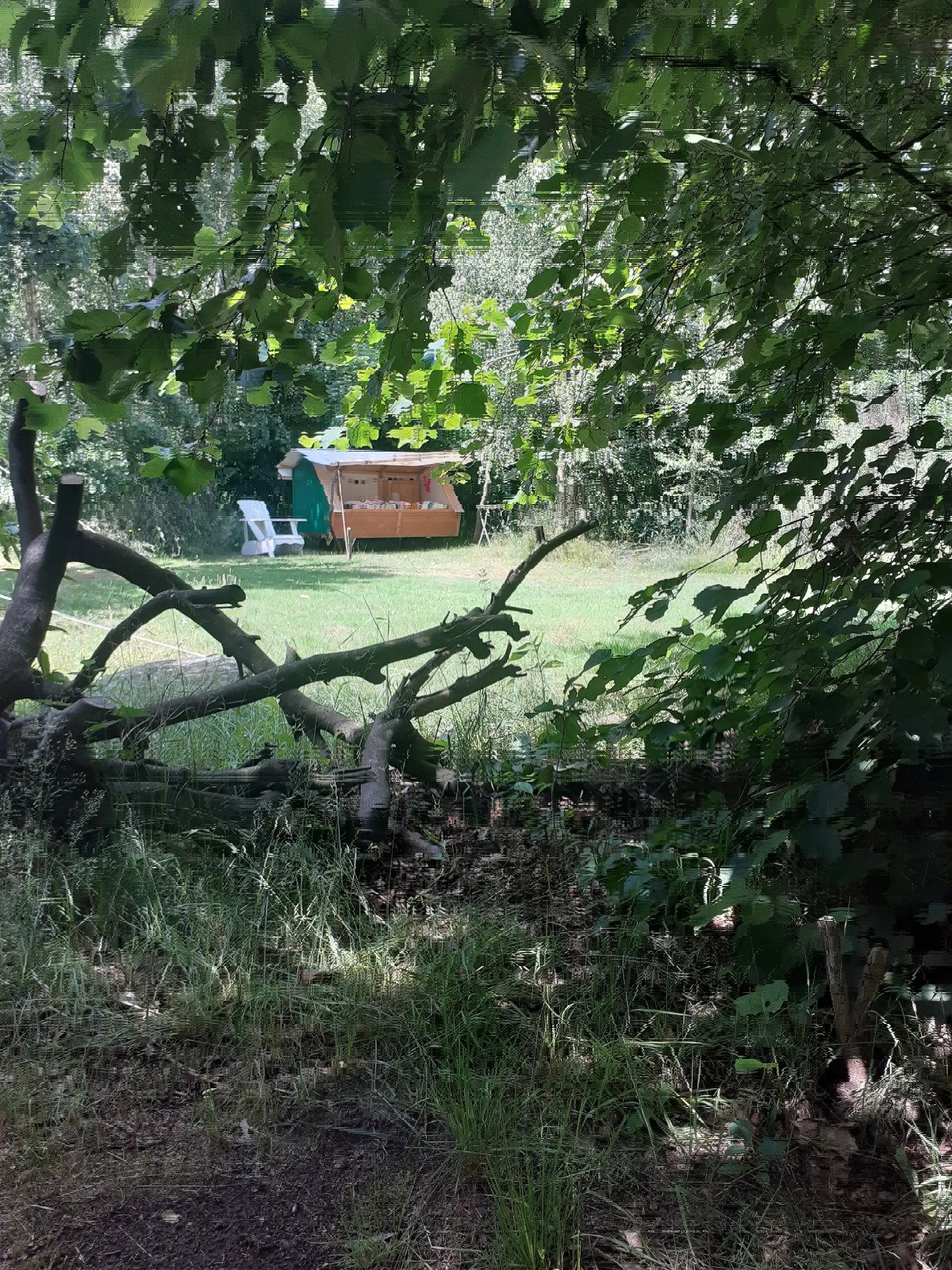 Casa nella natura a Emmen
