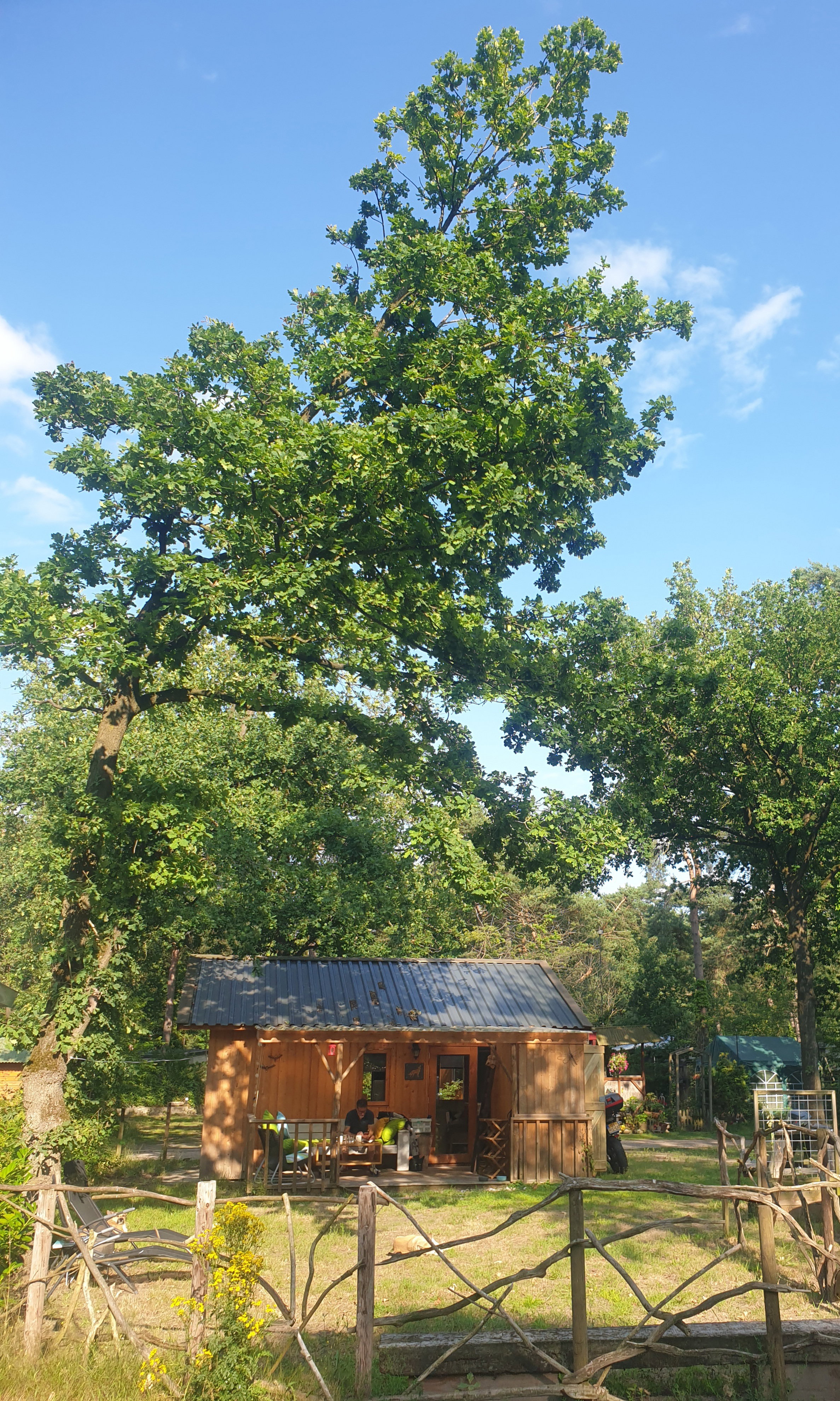Naturhäuschen in IJhorst
