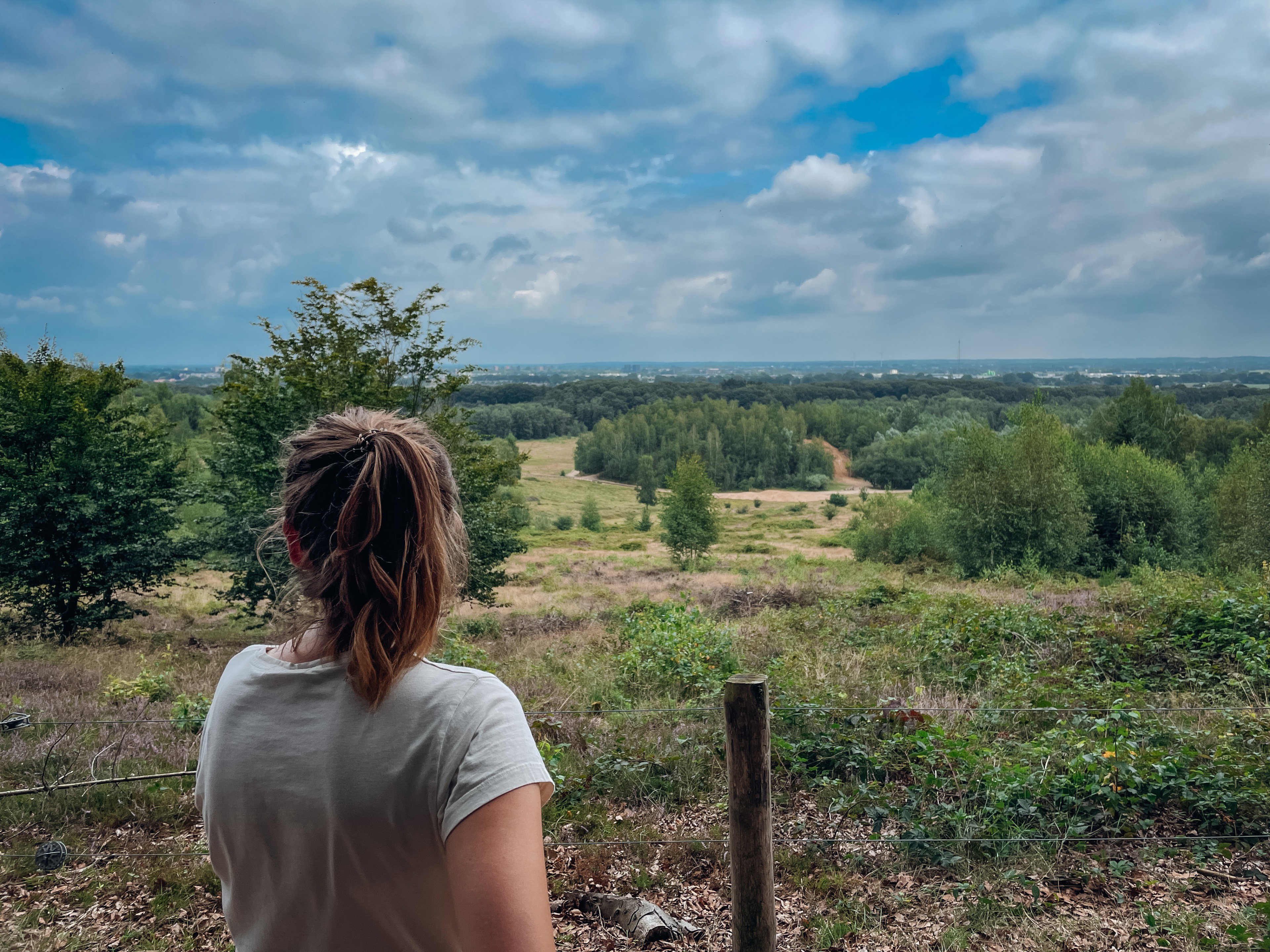Naturhäuschen in Rhenen