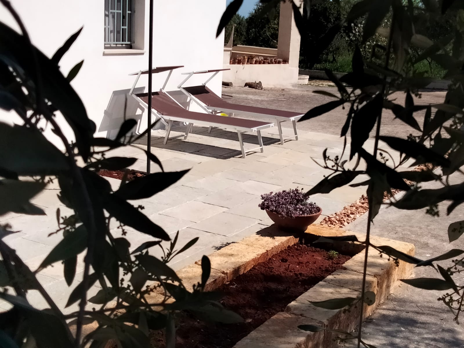 Casa nella natura a Ostuni