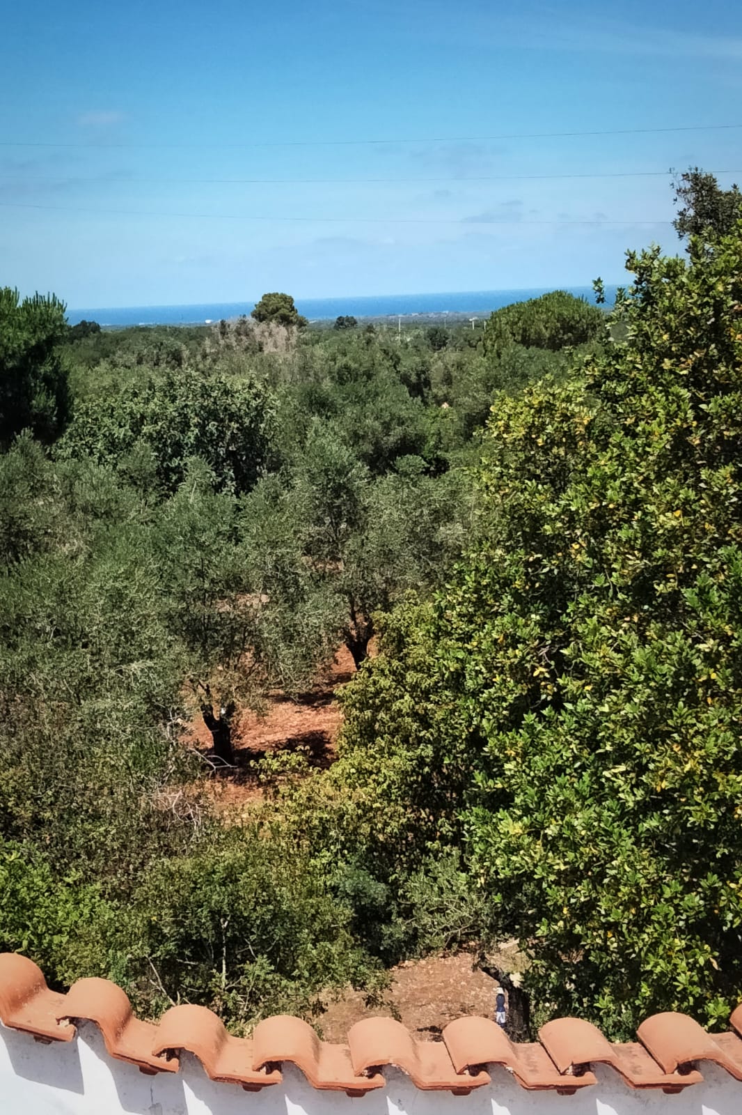 Casa nella natura a Ostuni