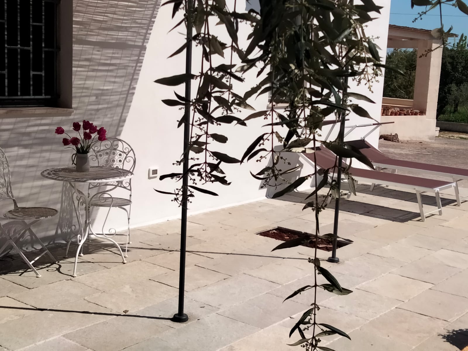 Casa nella natura a Ostuni