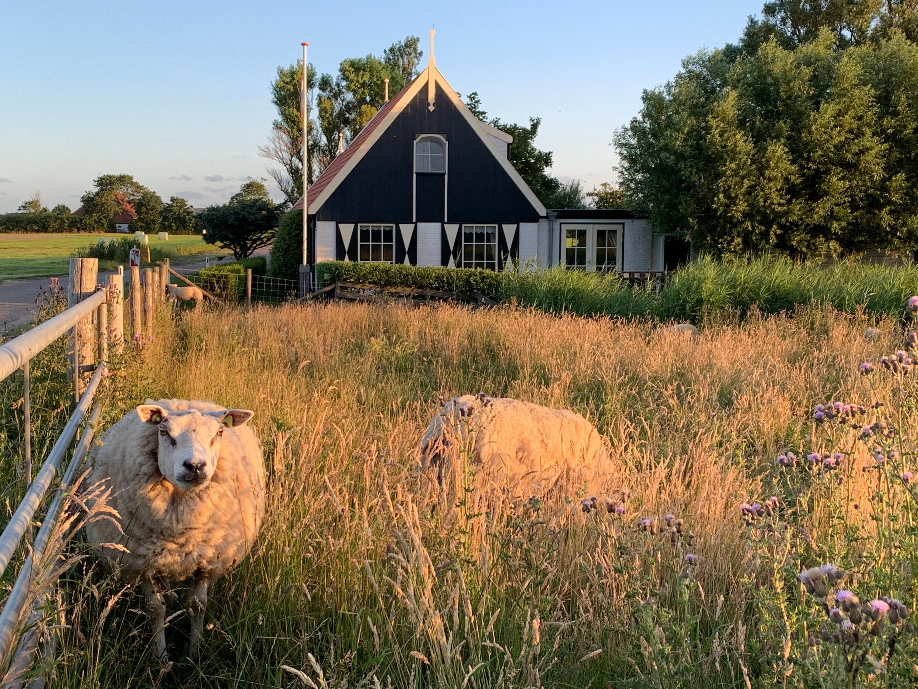 Natuurhuisje in Oosterend