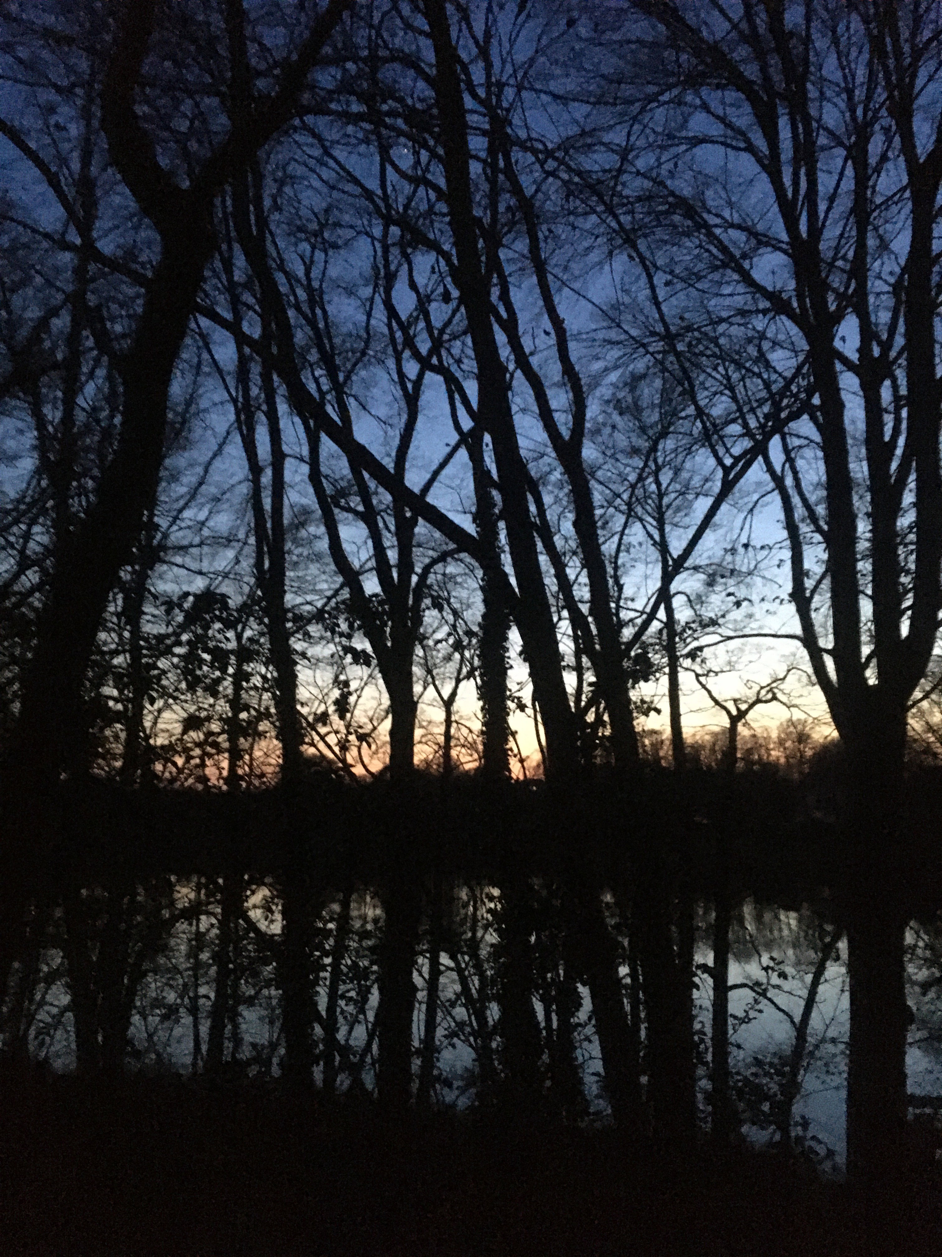 Naturhäuschen in Zeschdorf