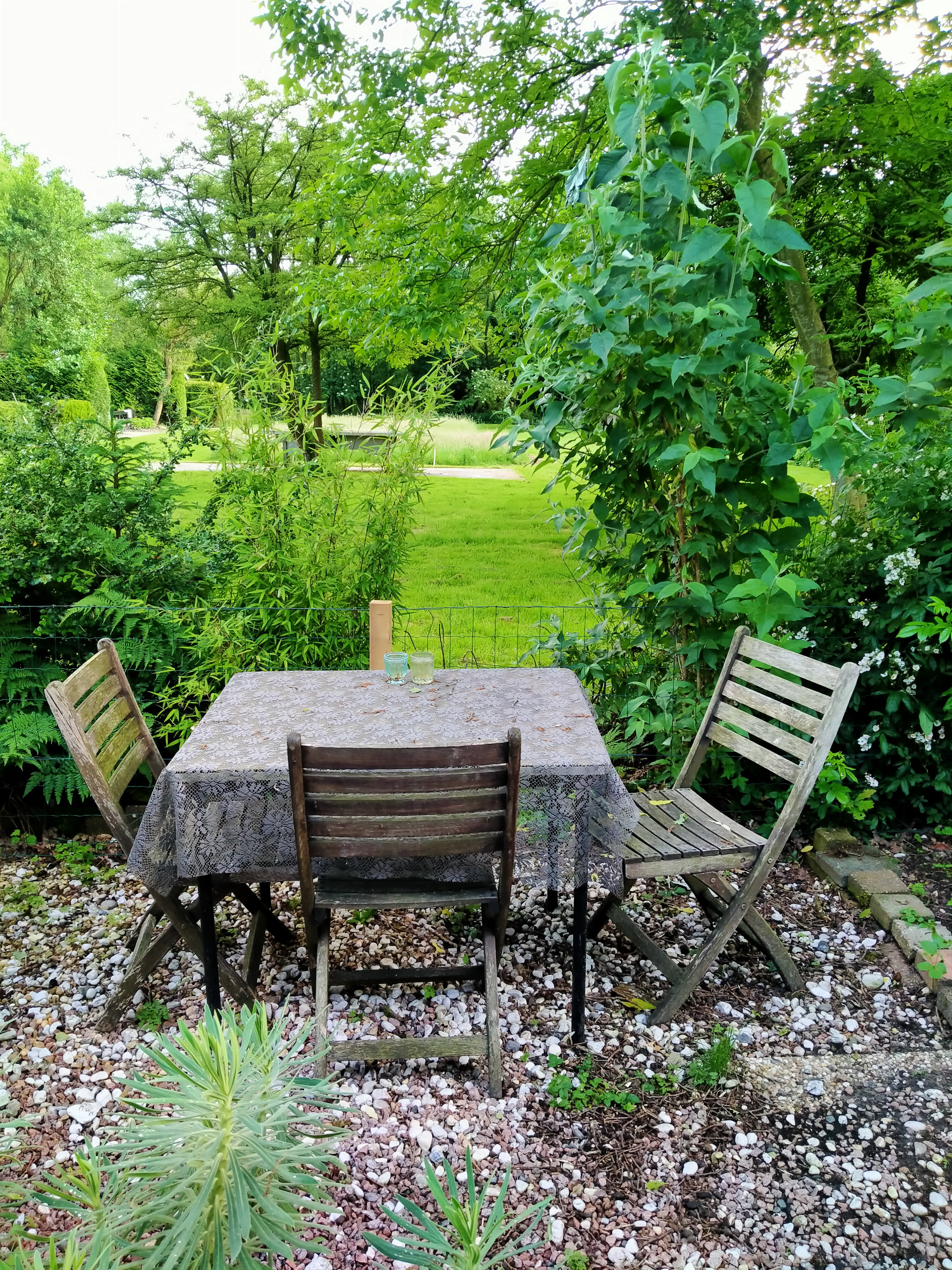 Natuurhuisje in Kollumerzwaag