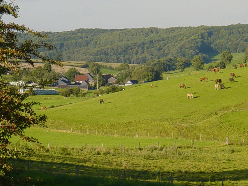 Casa nella natura a Remersdaal