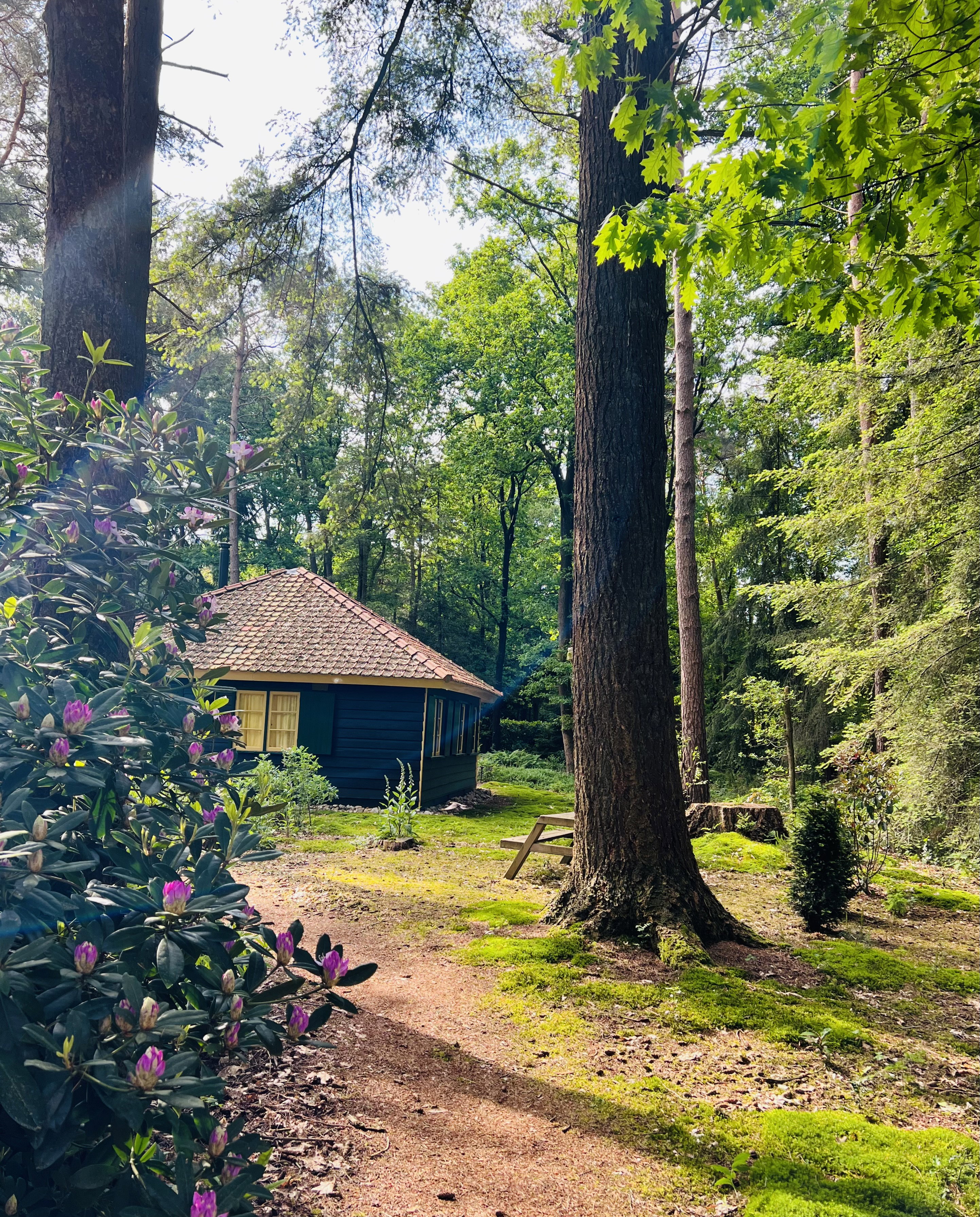 Naturhäuschen in Epe