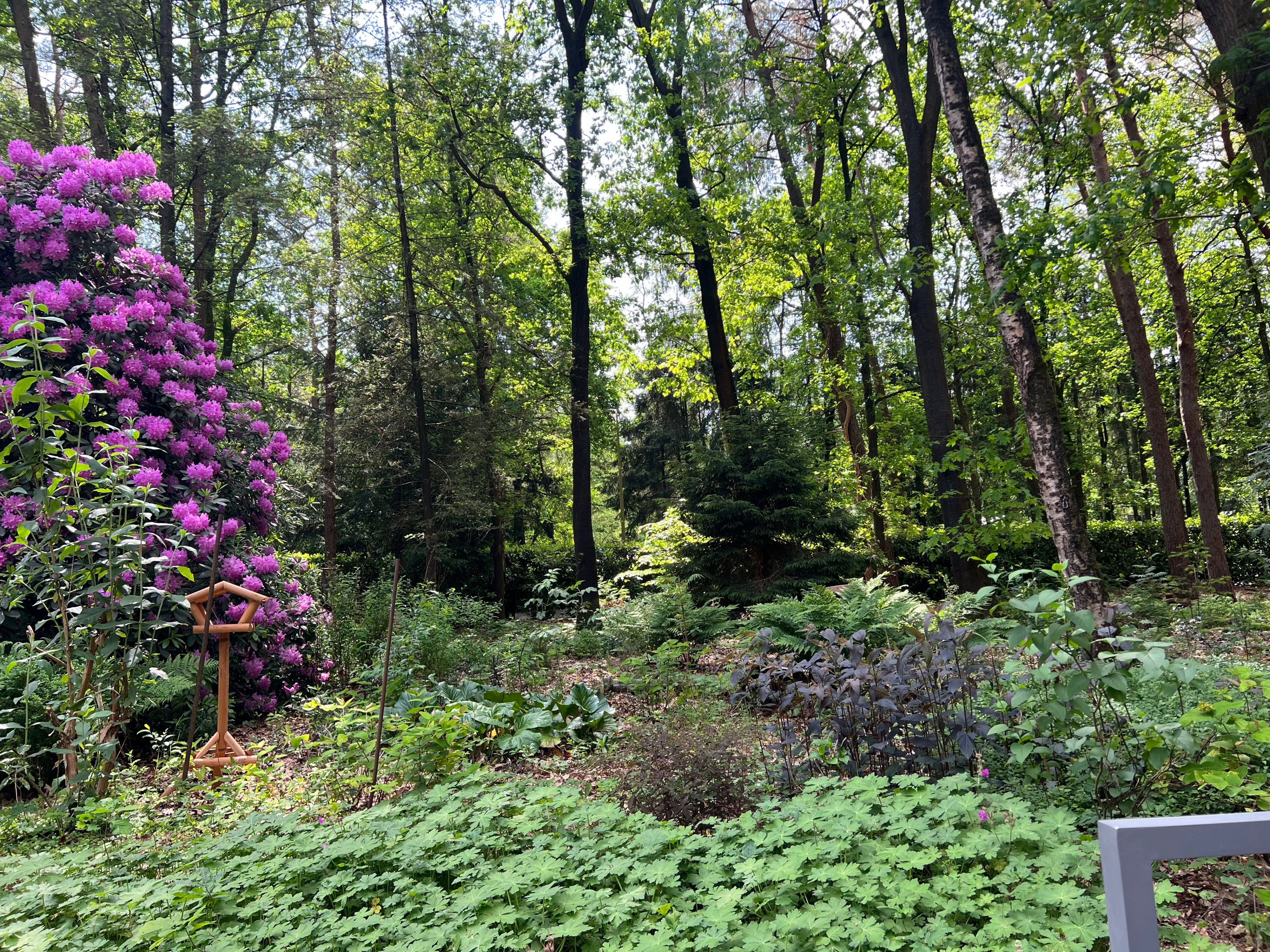 Naturhäuschen in Epe