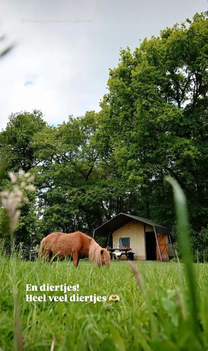 Natuurhuisje in Buurse