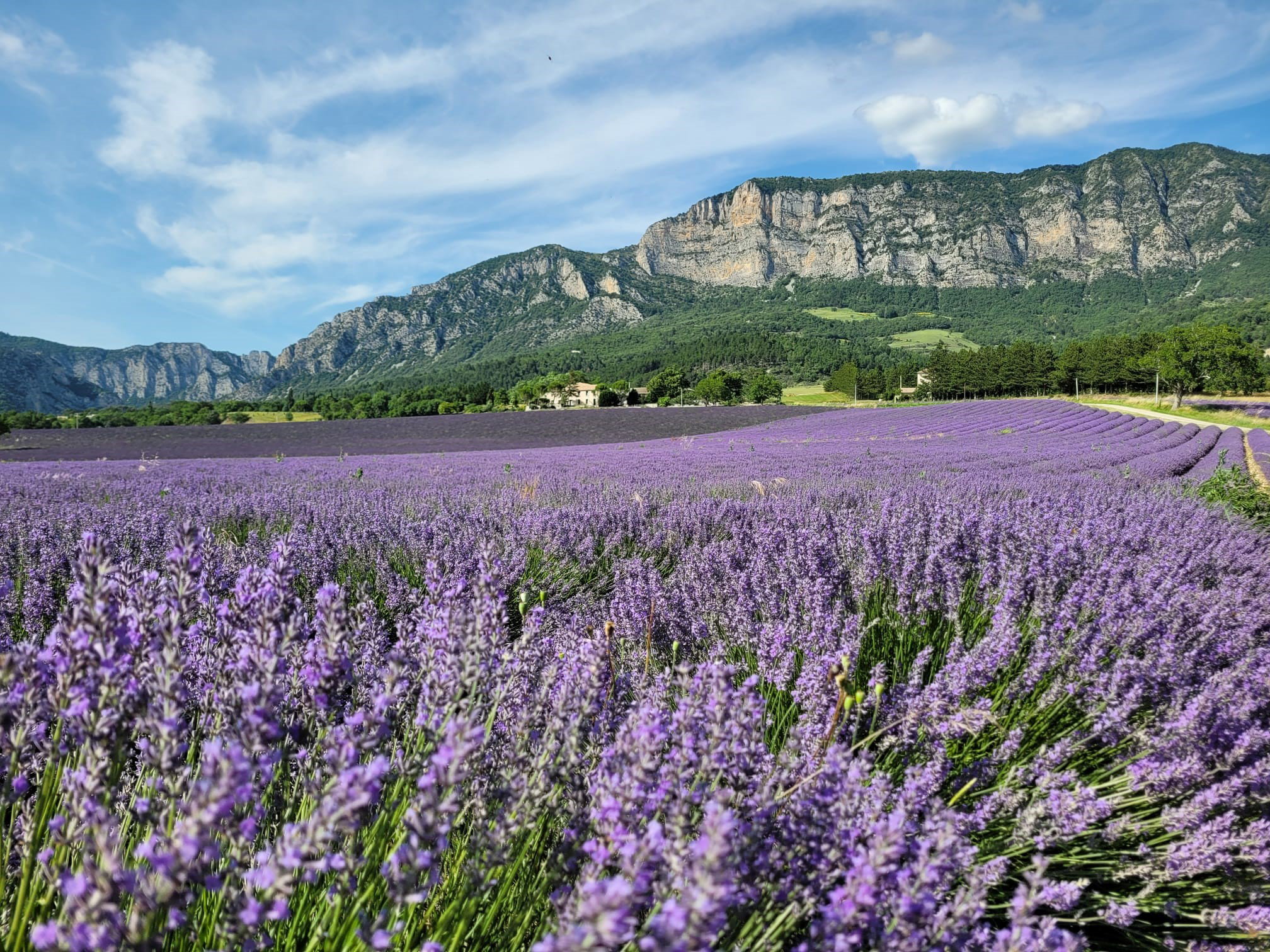 - image: 46