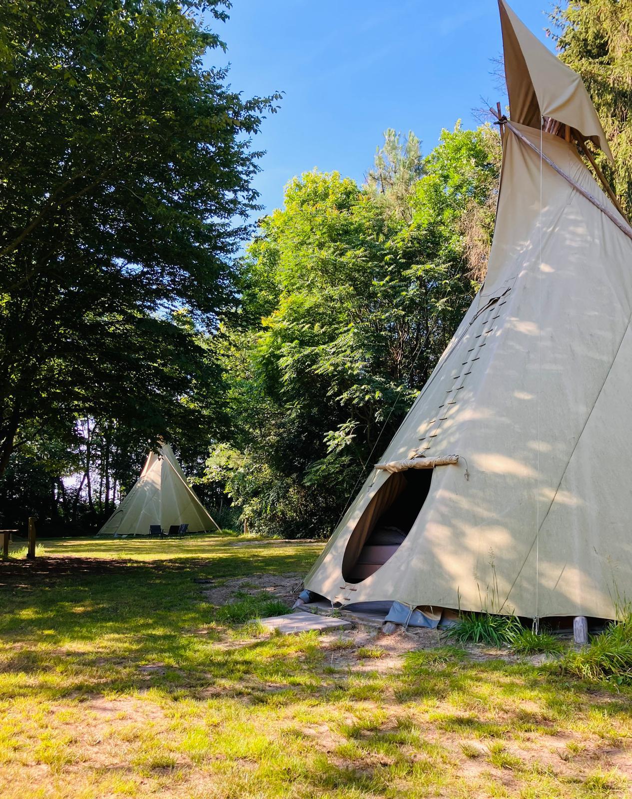 Natuurhuisje in Nijensleek / Frederiksoord