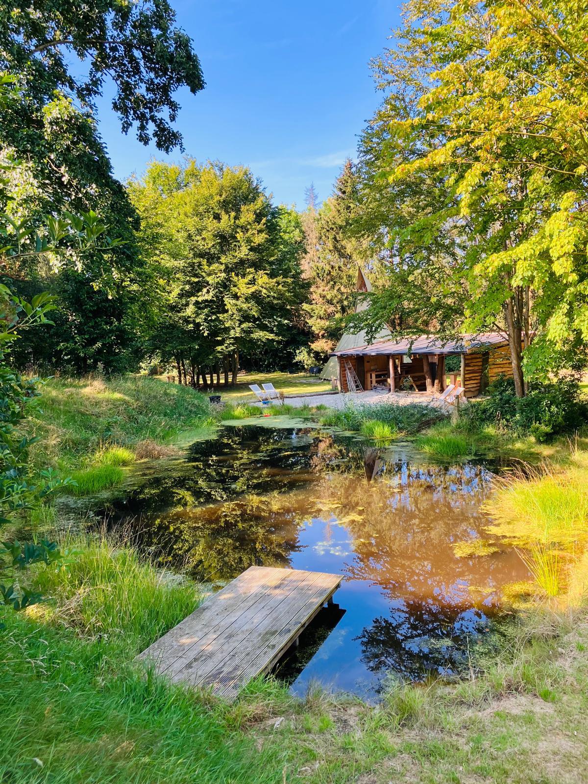 Natuurhuisje in Nijensleek / Frederiksoord