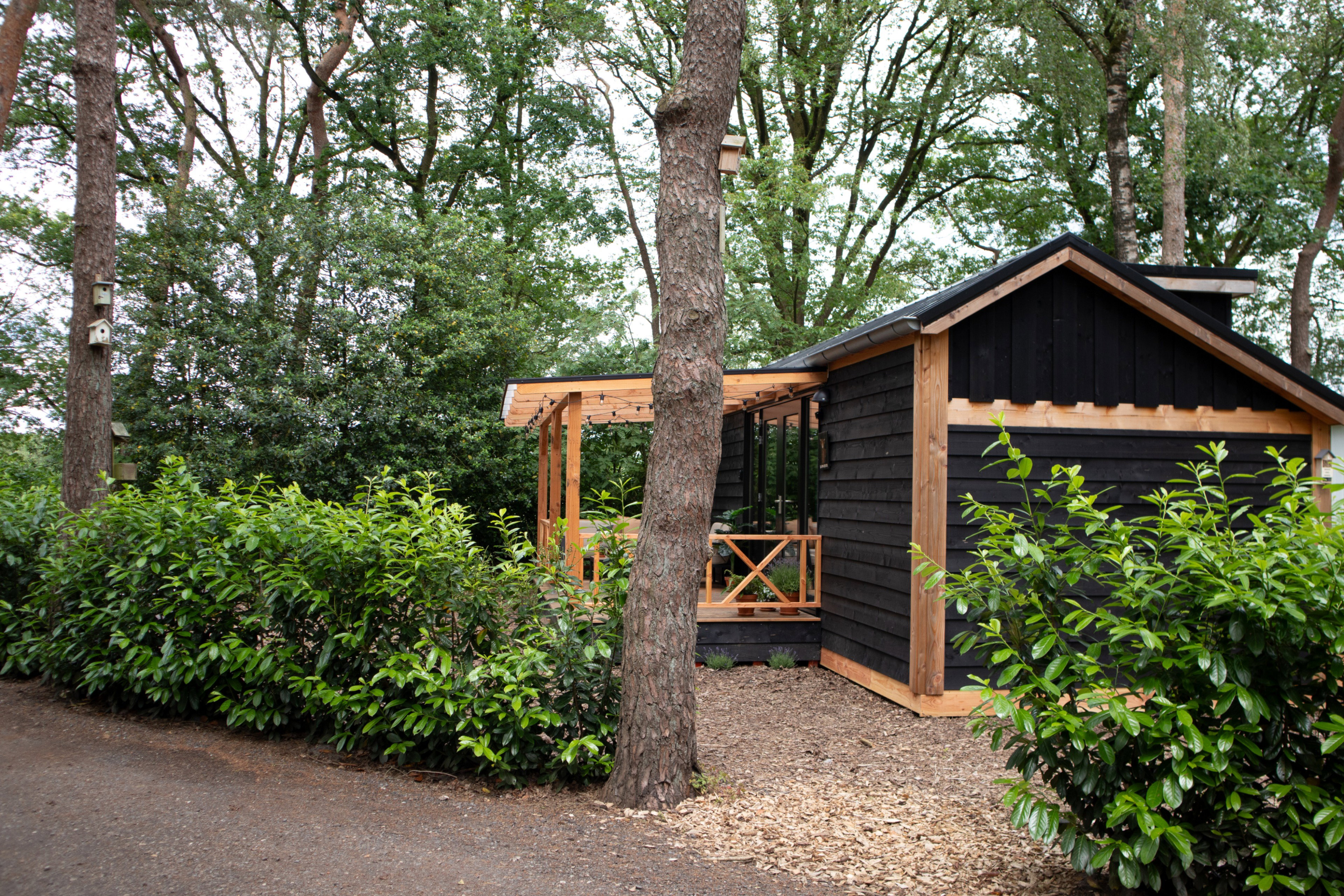 Nature house in Zuidwolde
