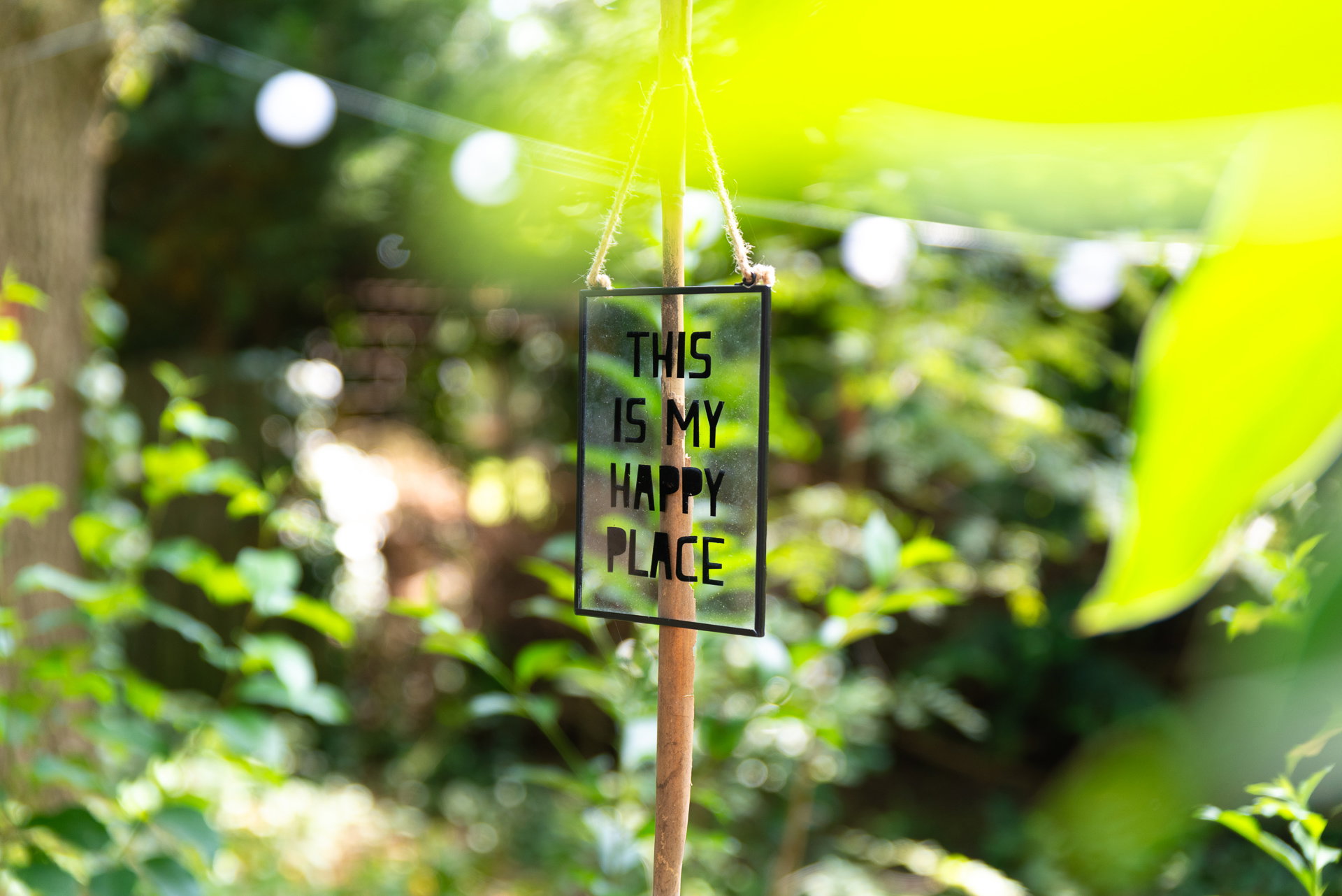 - image: 20