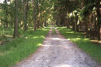 - image: 15
