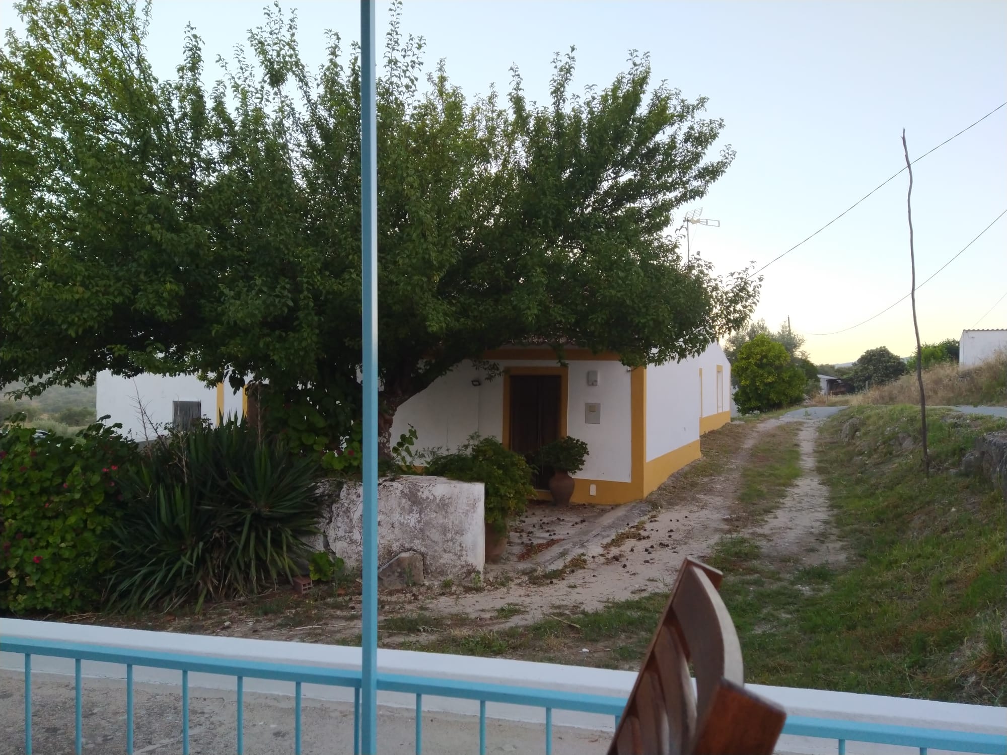 - image: 61