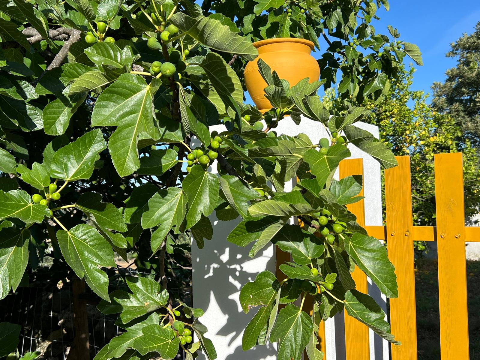 Natuurhuisje in Alegrete