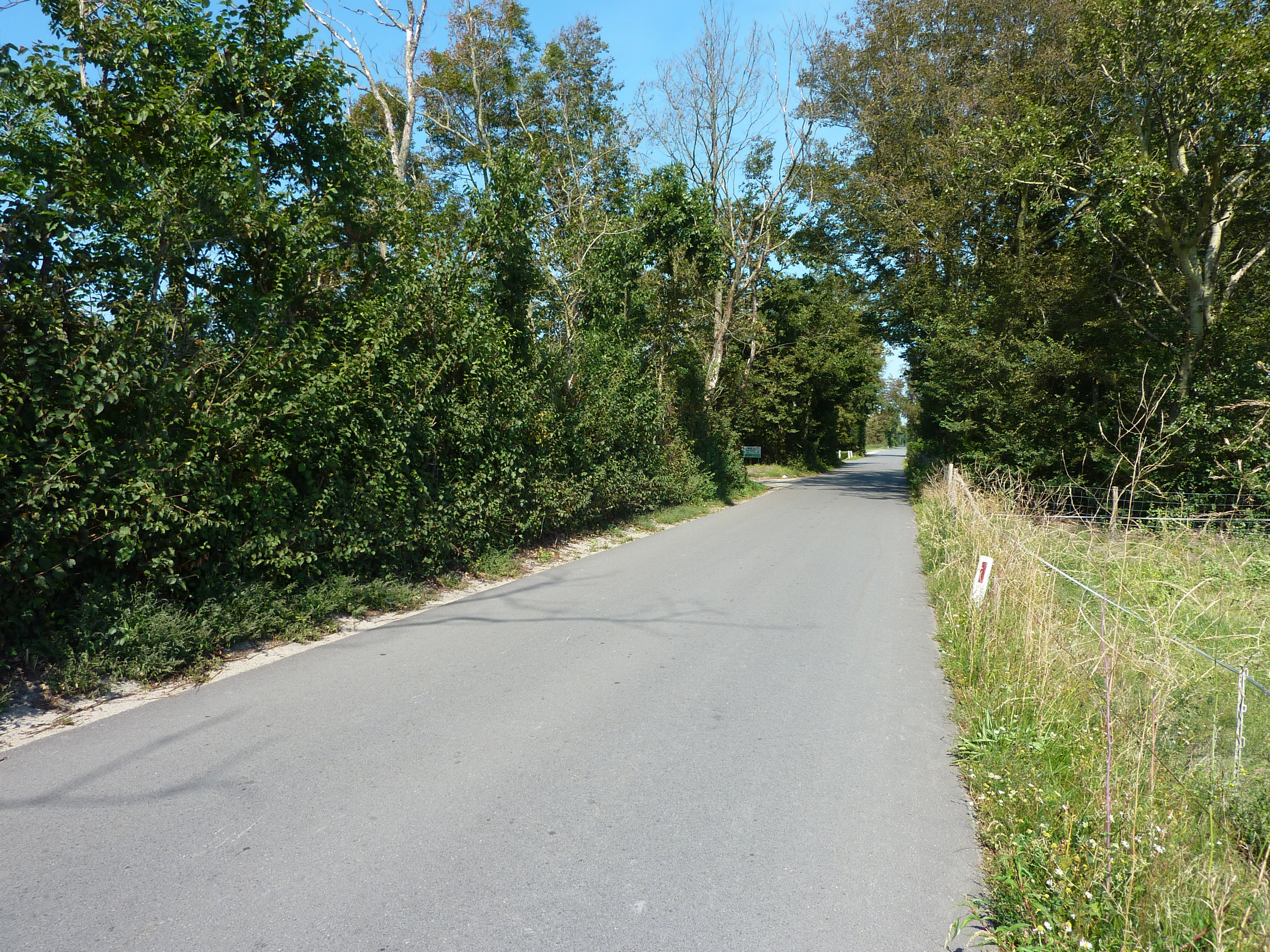 - image: 29