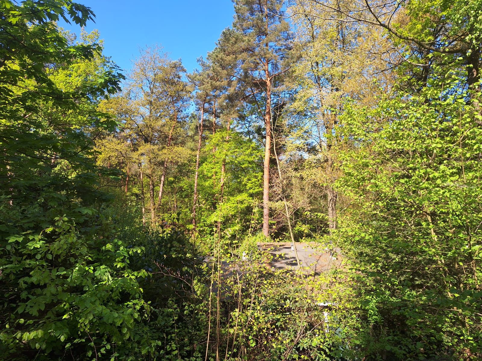 Natuurhuisje in Groesbeek