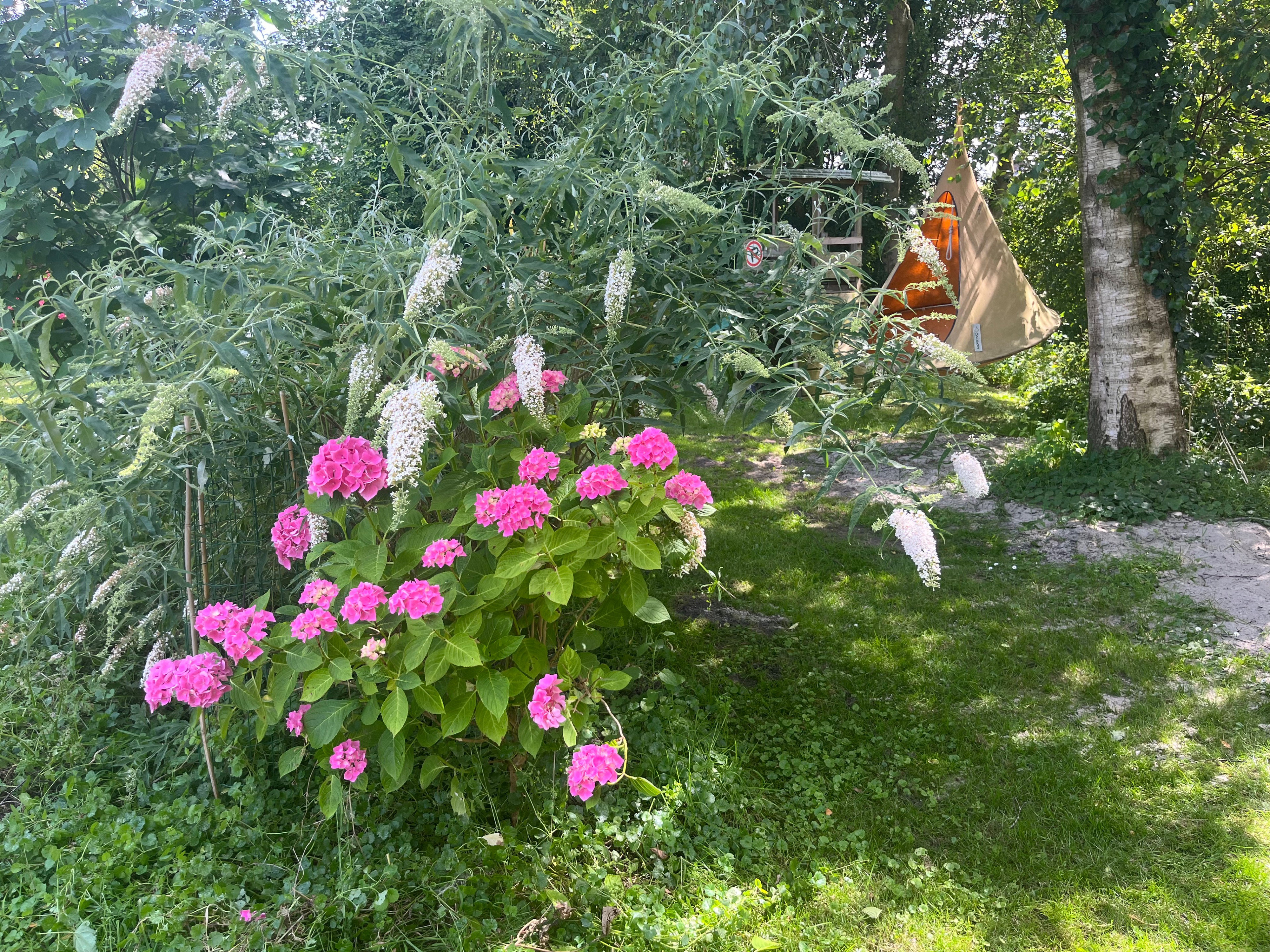 - image: 29
