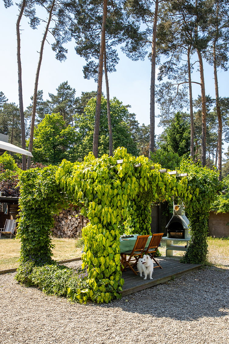 Casa nella natura a Herentals