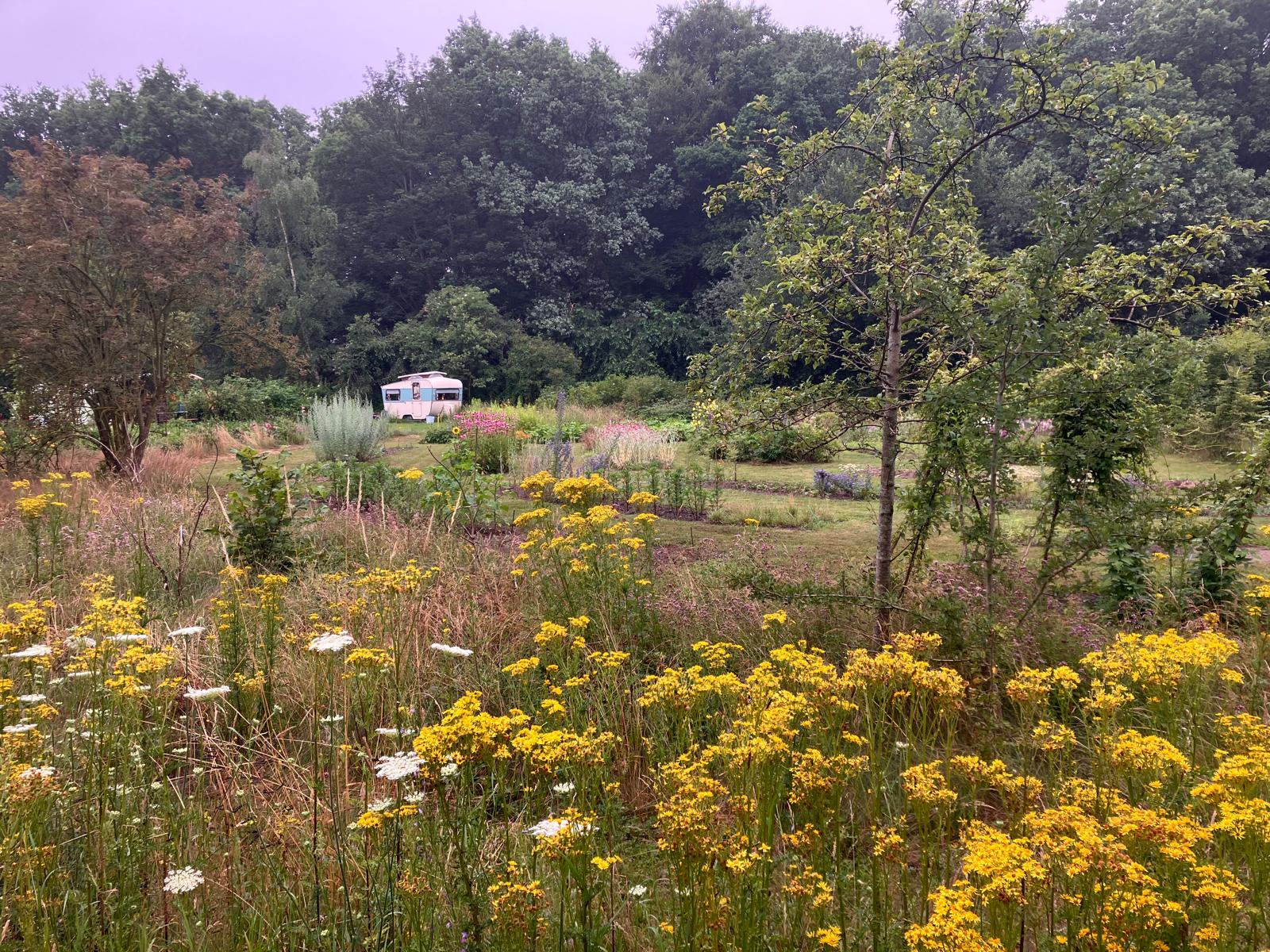 Maison nature à Veenhuizen