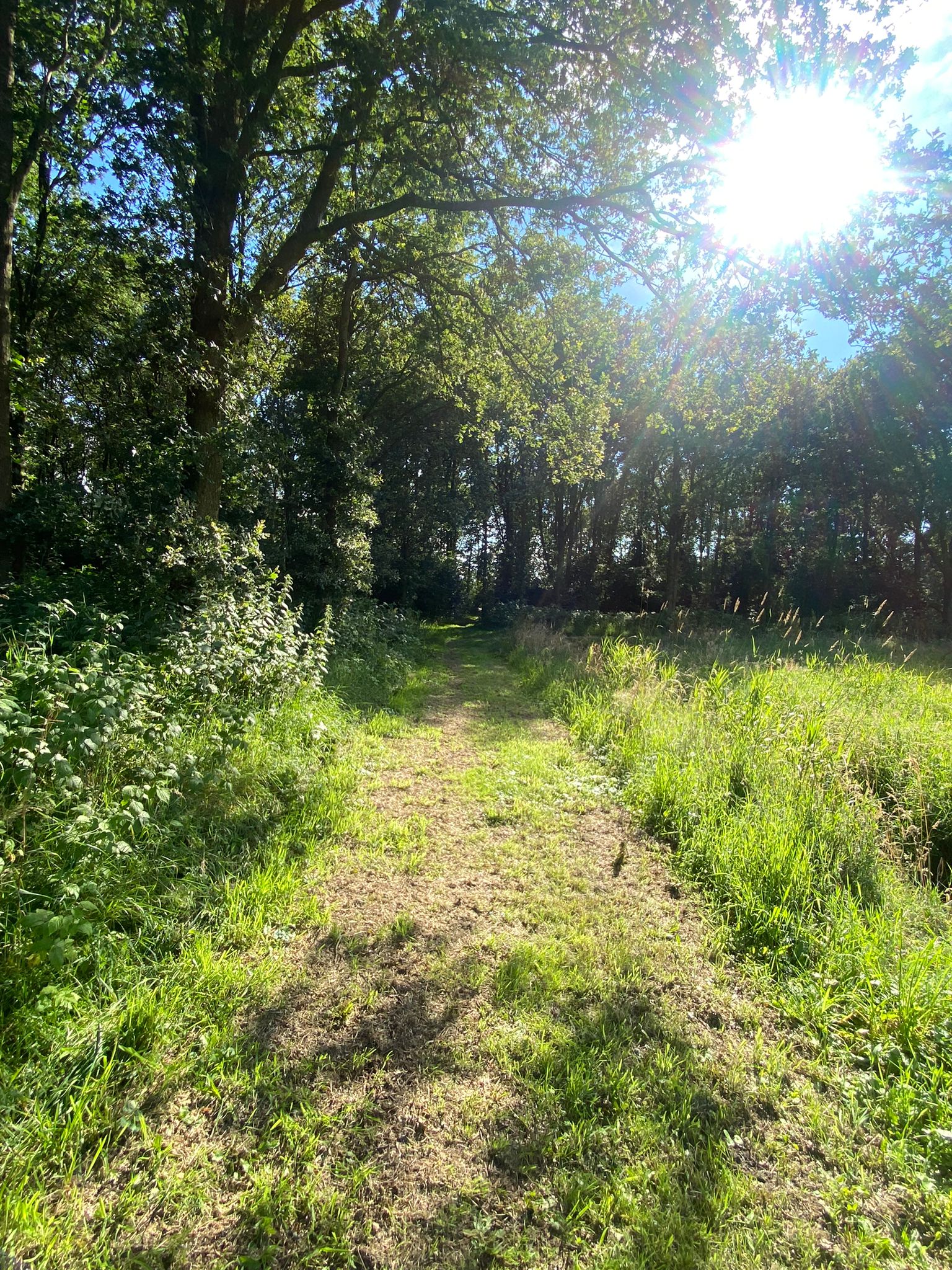Natuurhuisje in Sonnega