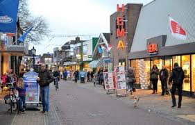 - image: 12
