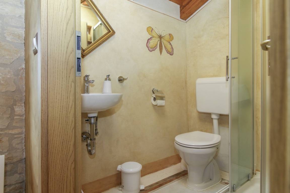 - image: 13