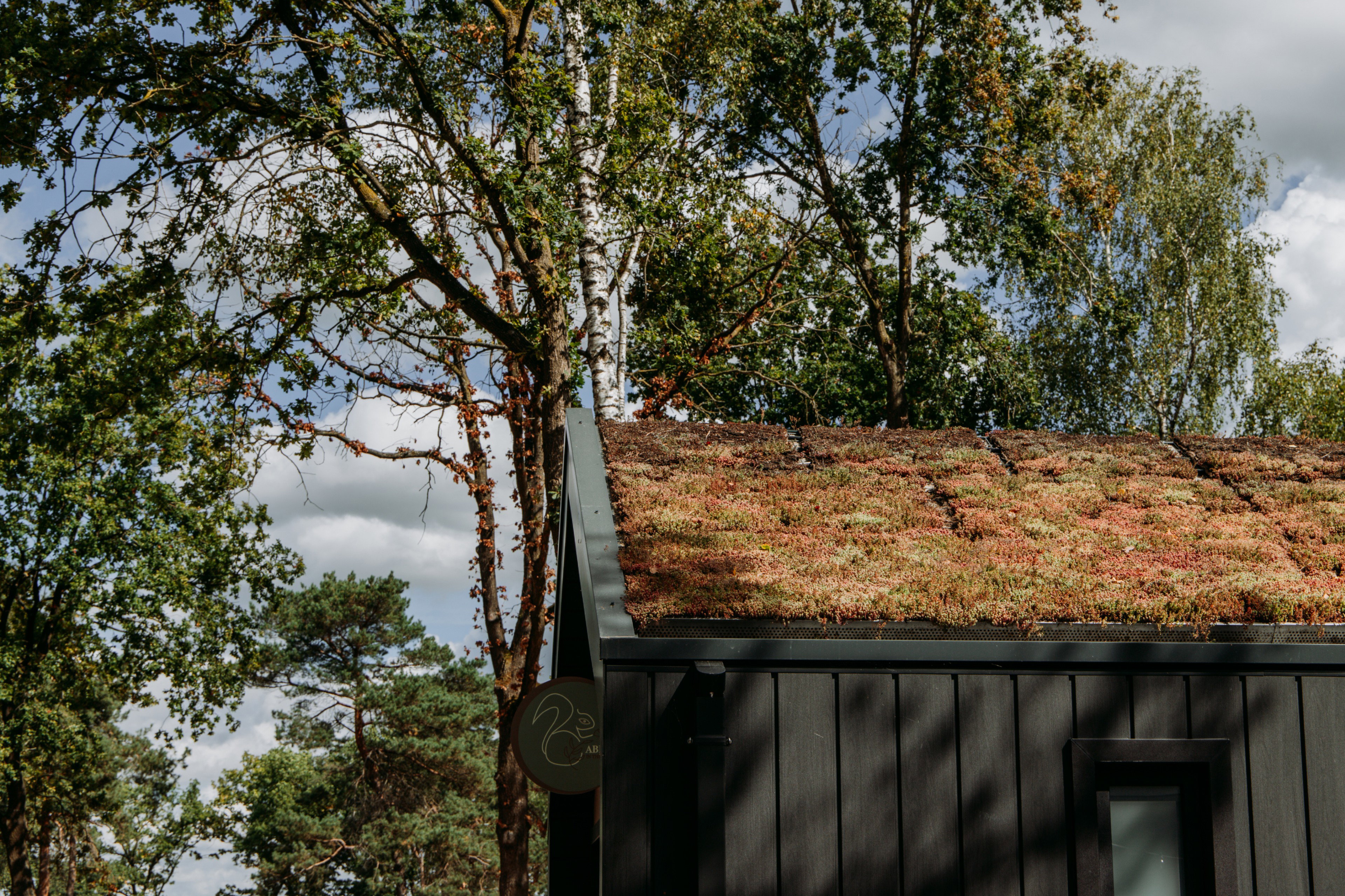 Natuurhuisje in Haarle