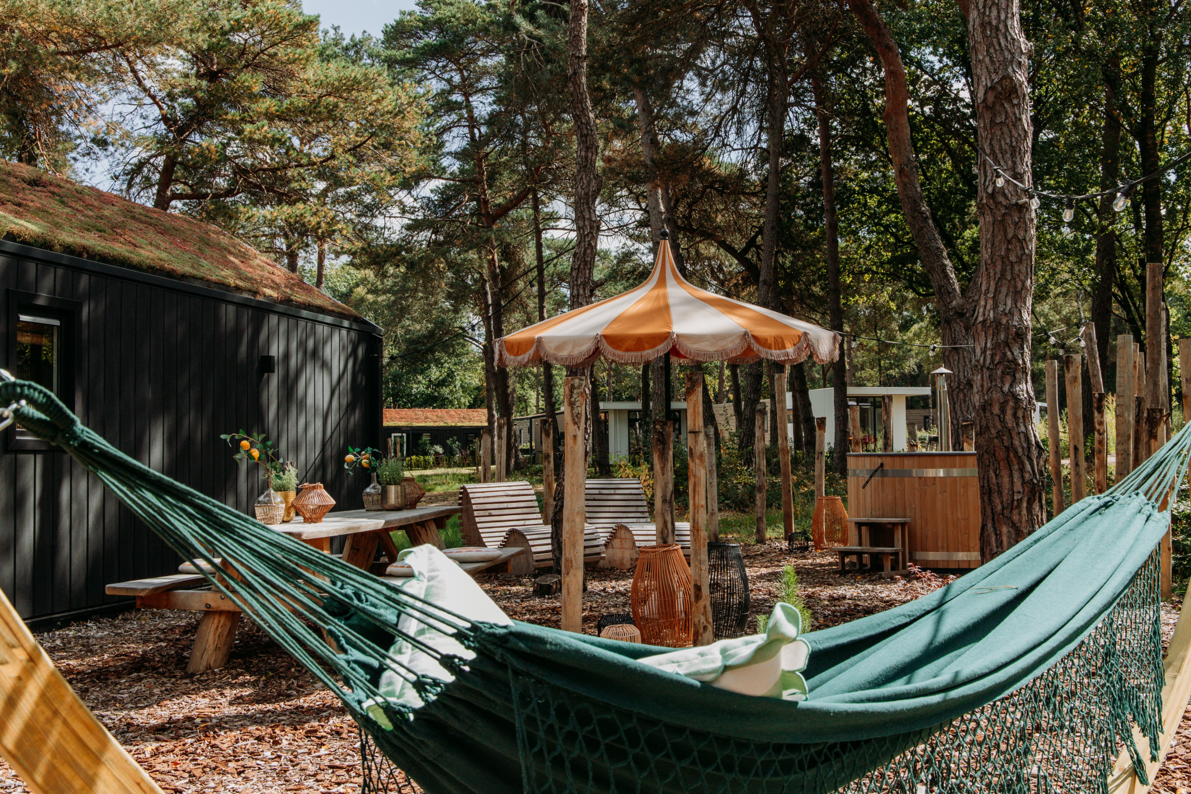 Natuurhuisje in Haarle