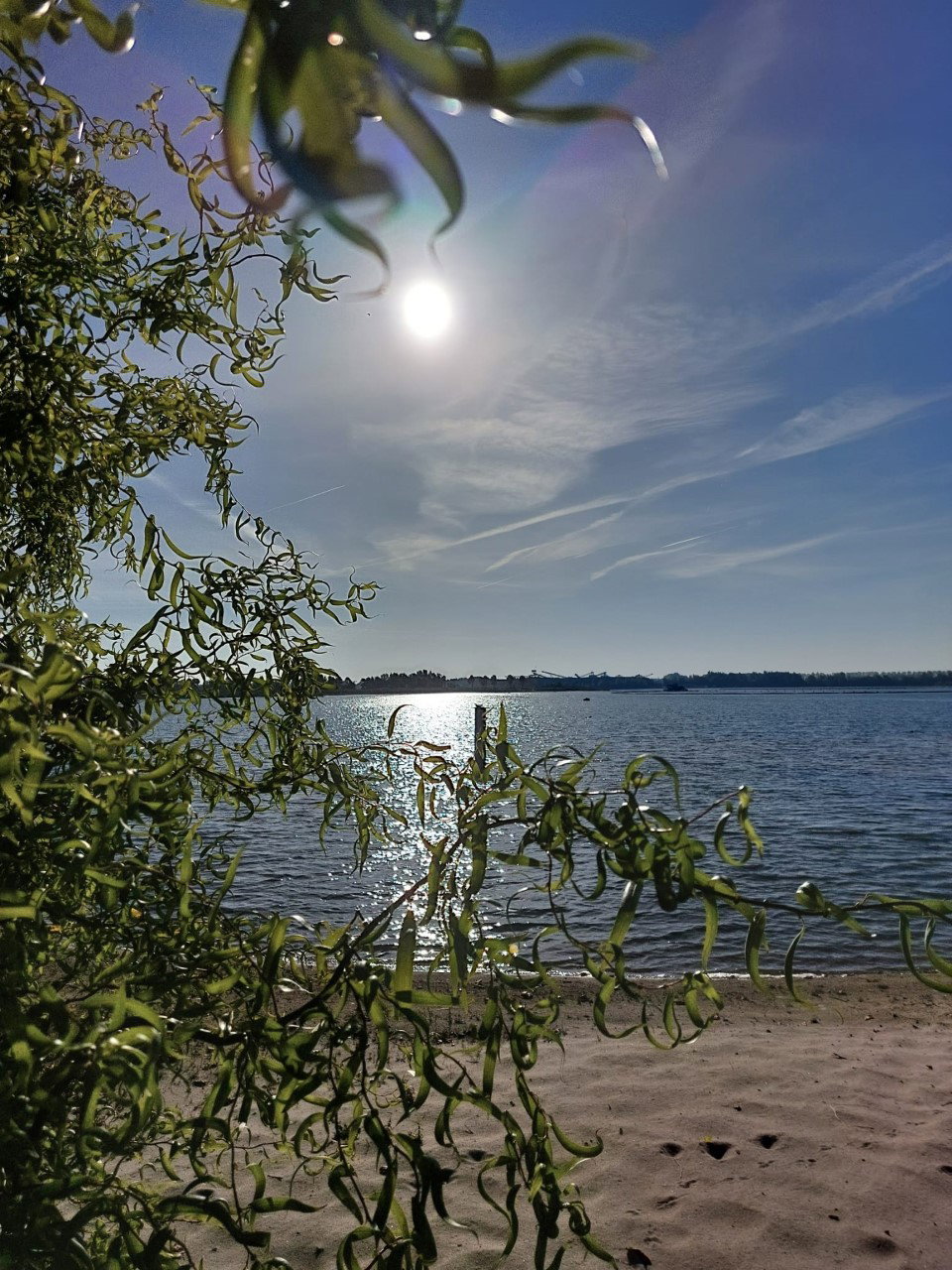 - image: 11